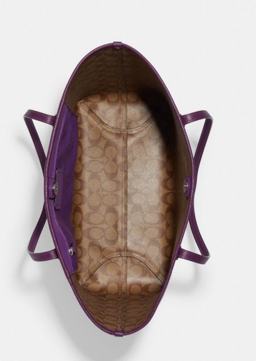 Tote Sleeping Beauty