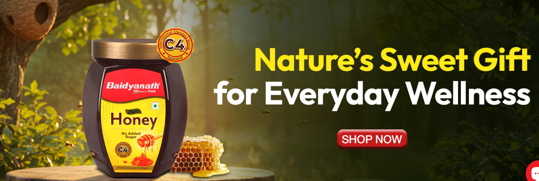 Baidyanath Wellness Products