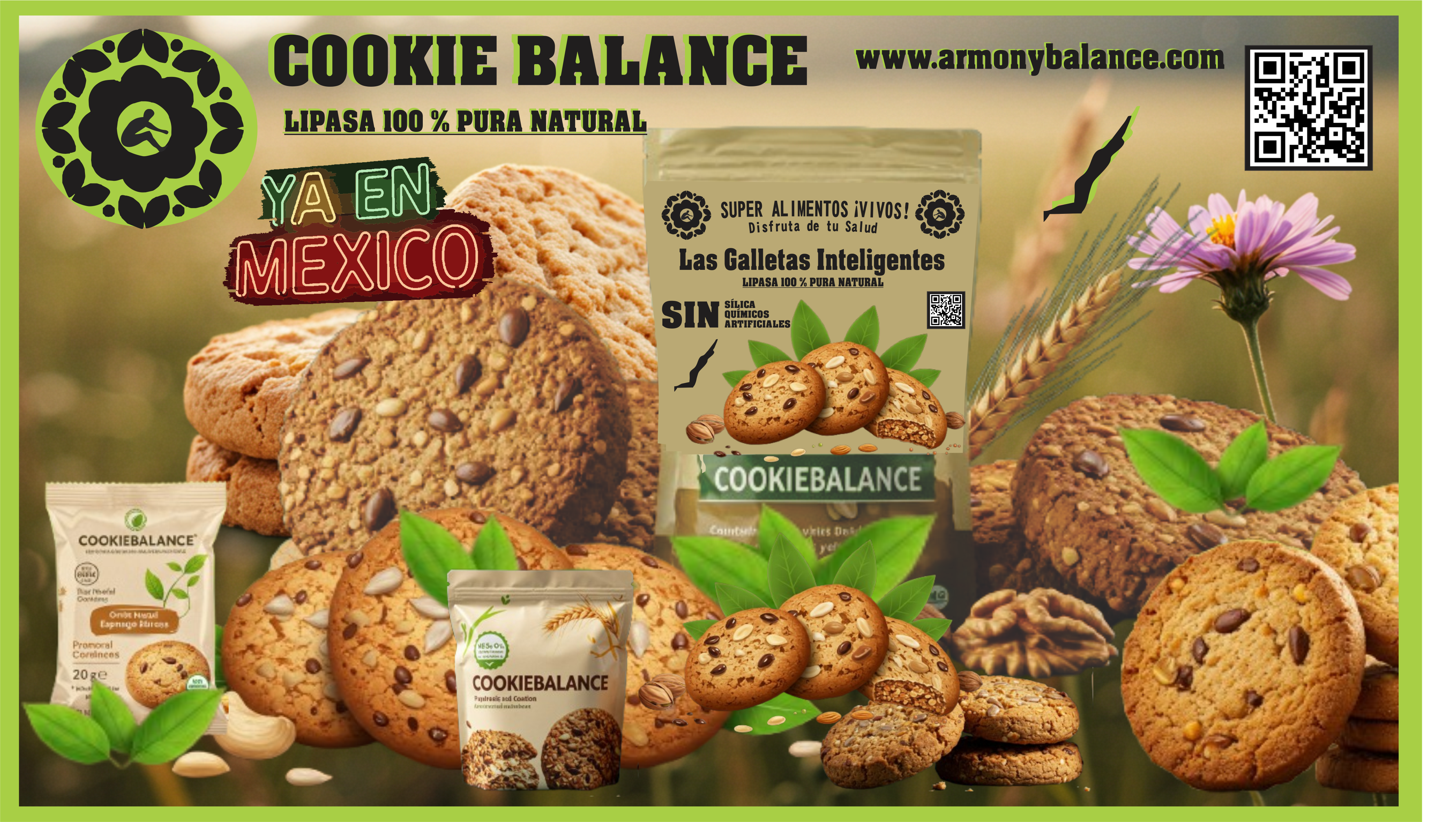 GALLETAS INTELIGENTES EN NUTRICIÓN. COOKIE BALANCE MR