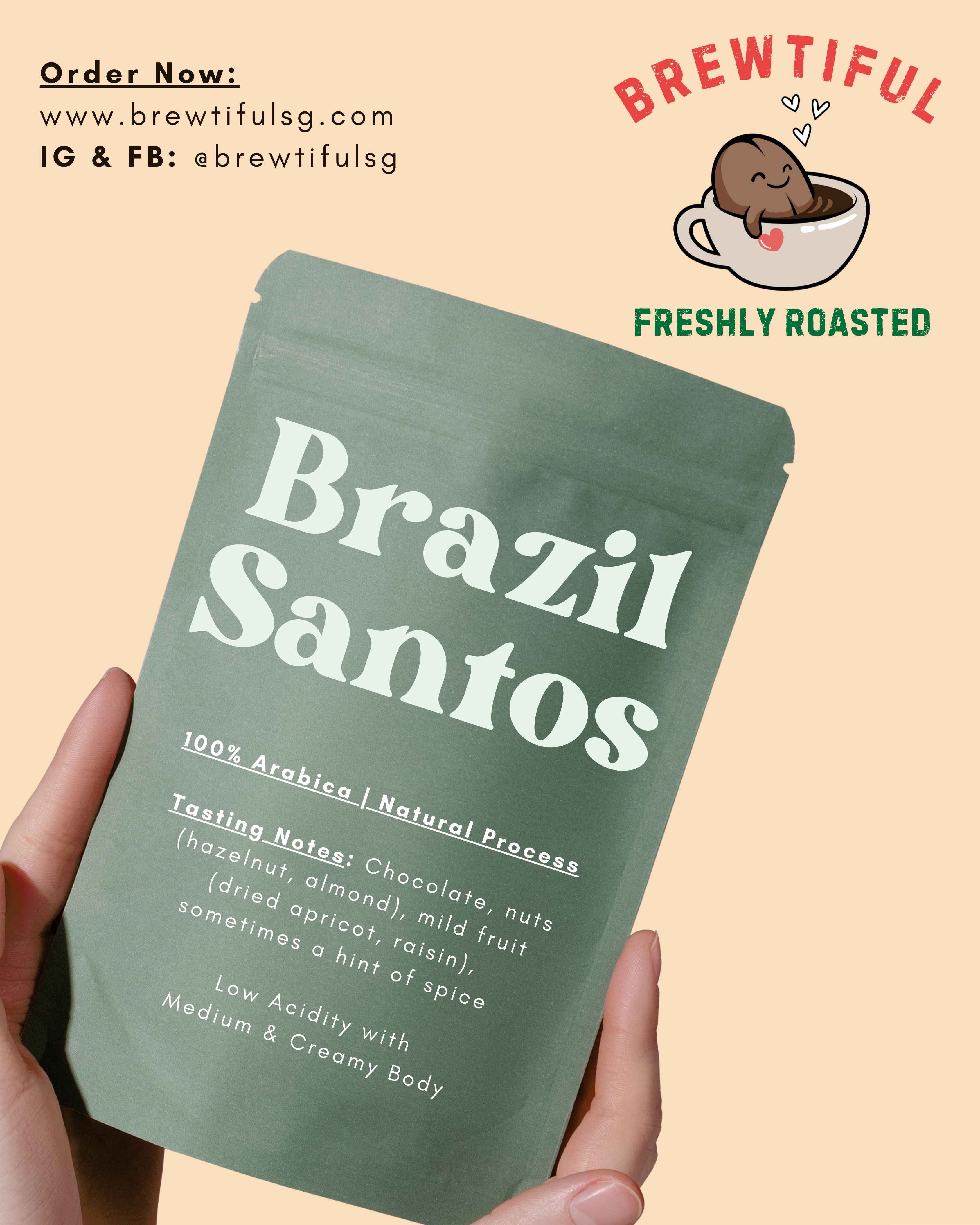 Brazil Santos