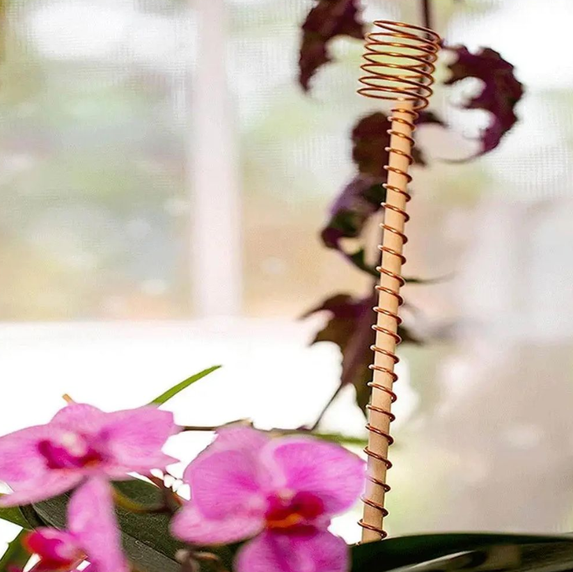 Tuin Elektrokultuur Plantstokke – Stel met Koperdraad