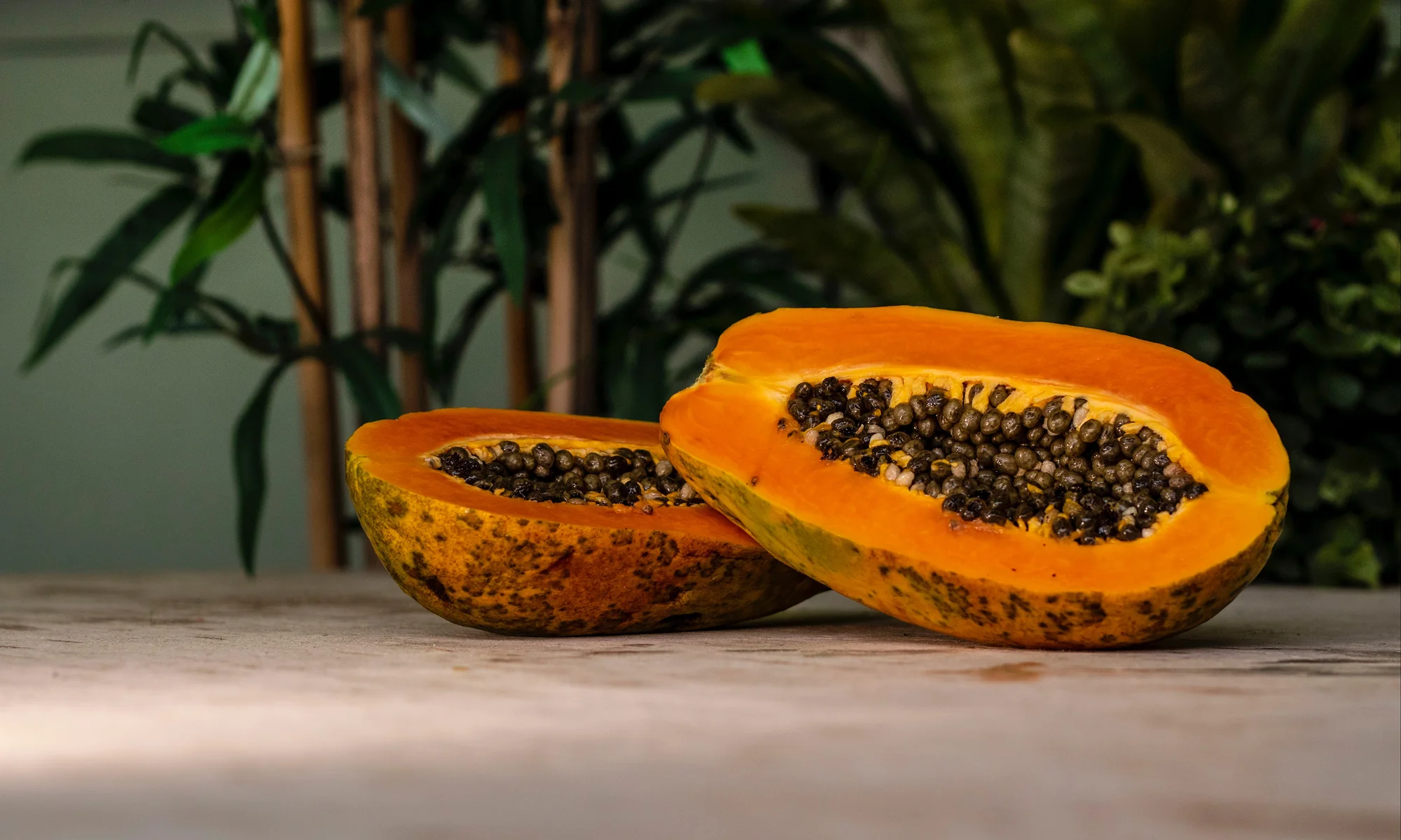 Papajaboom (Carica papaya) x2