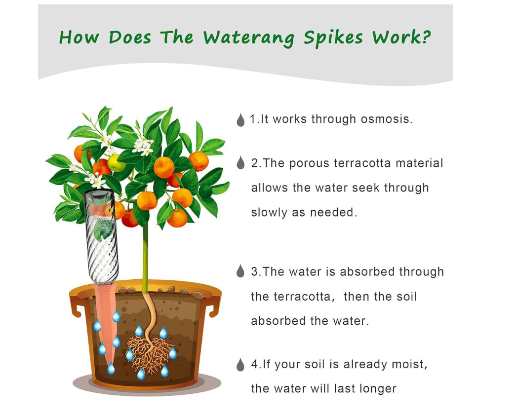 6-Stuk Terracotta Plant Water Spykers – Selfwater Stelsel vir Vakansies