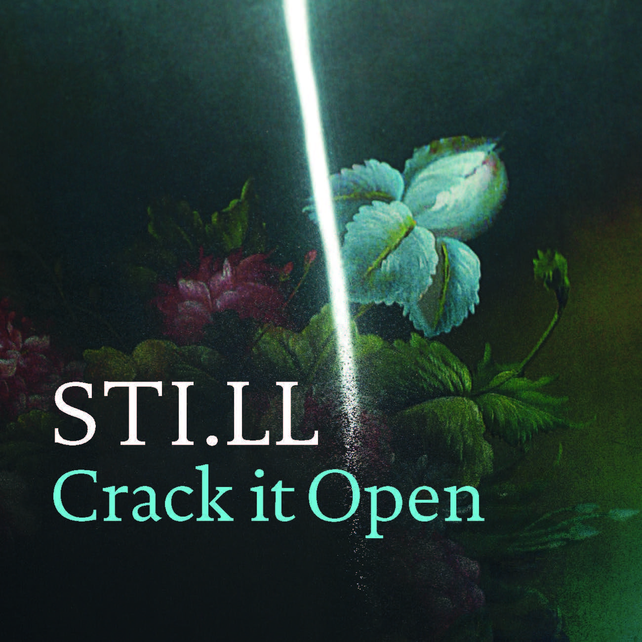 Crack it Open CD / USB