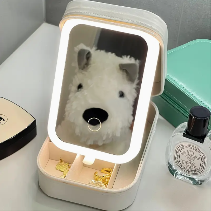 Makeup Travel Kit with LED Mirror