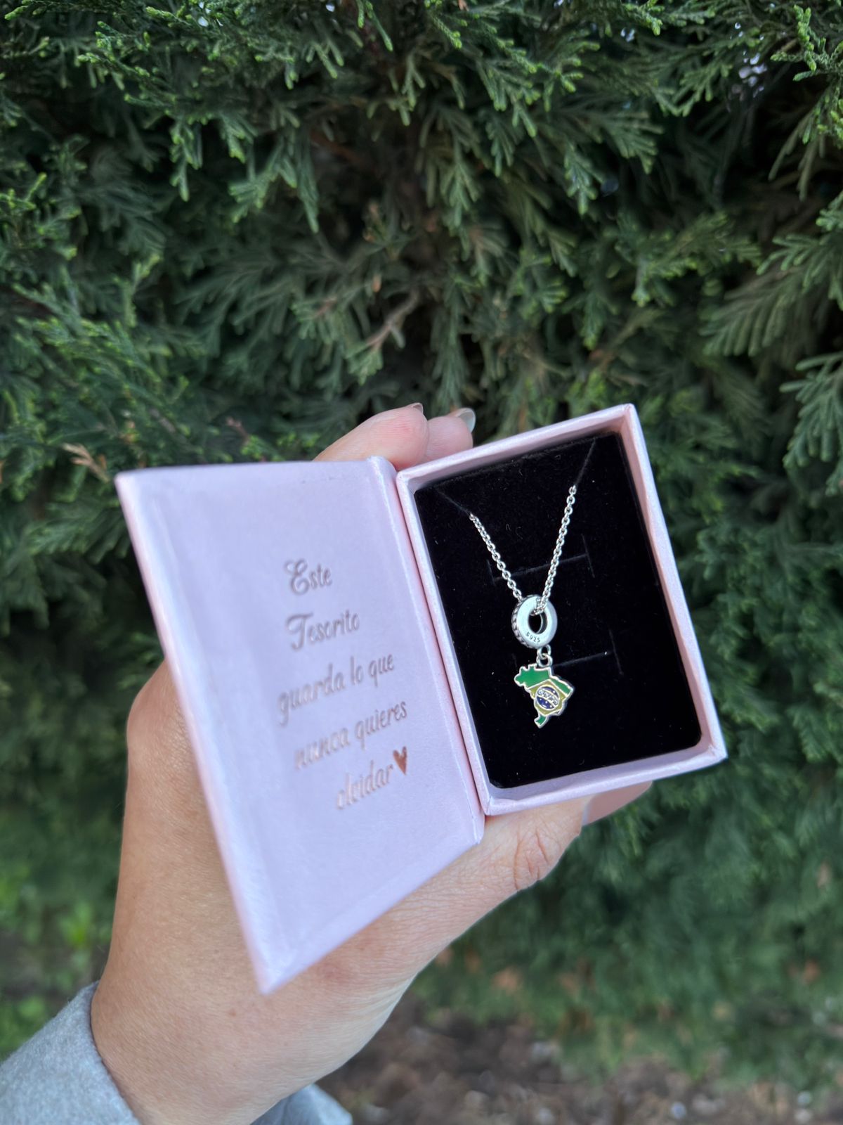 Tesorito Brasil en Plata 925 🇧🇷 