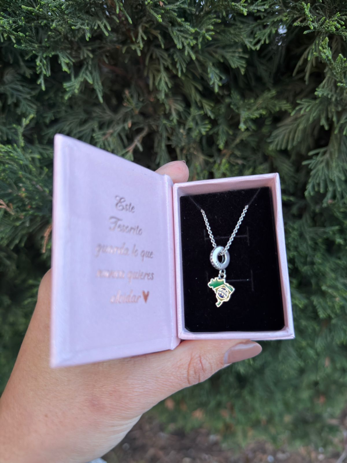 Tesorito Brasil en Plata 925 🇧🇷 