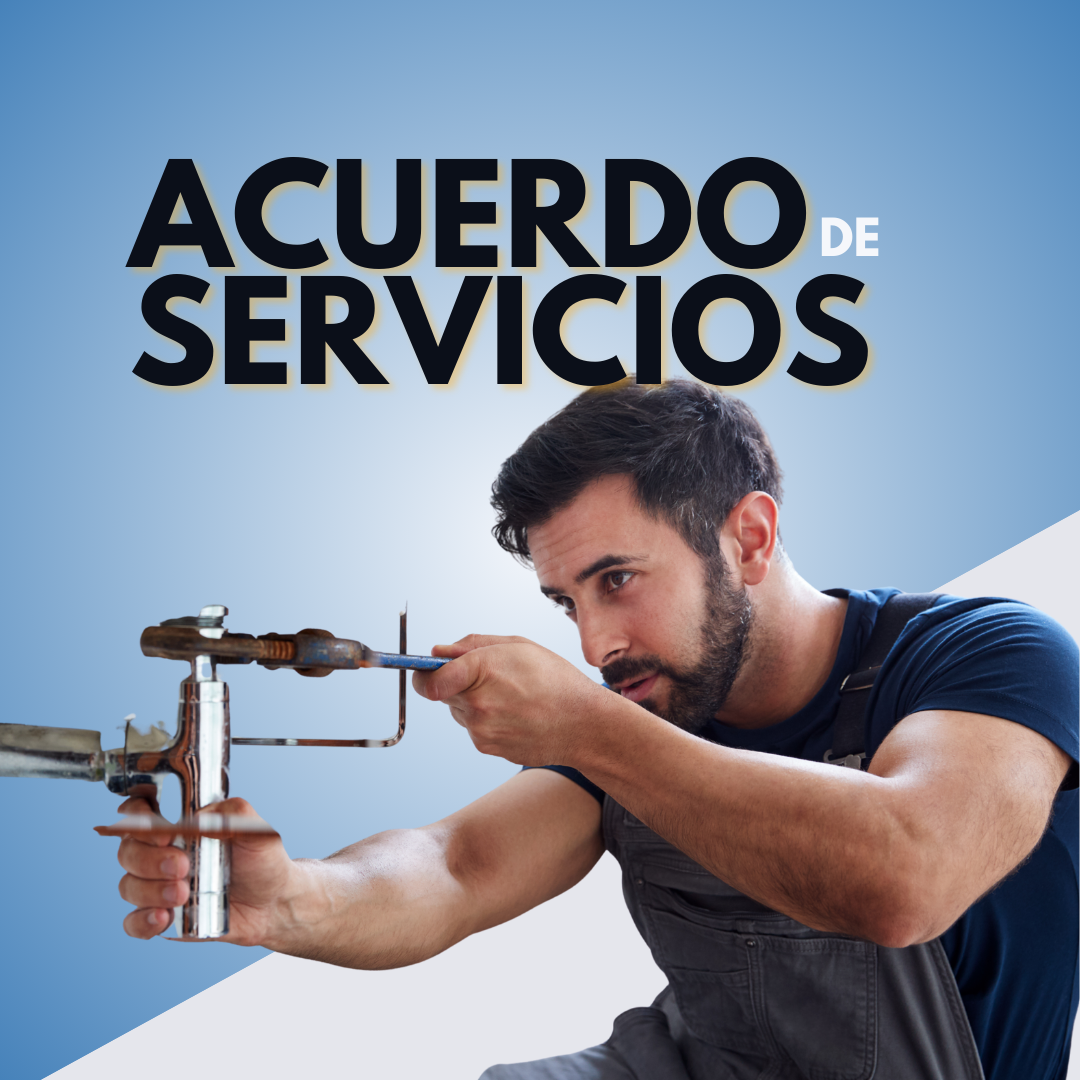 Acuerdo de Servicios Profesionales
