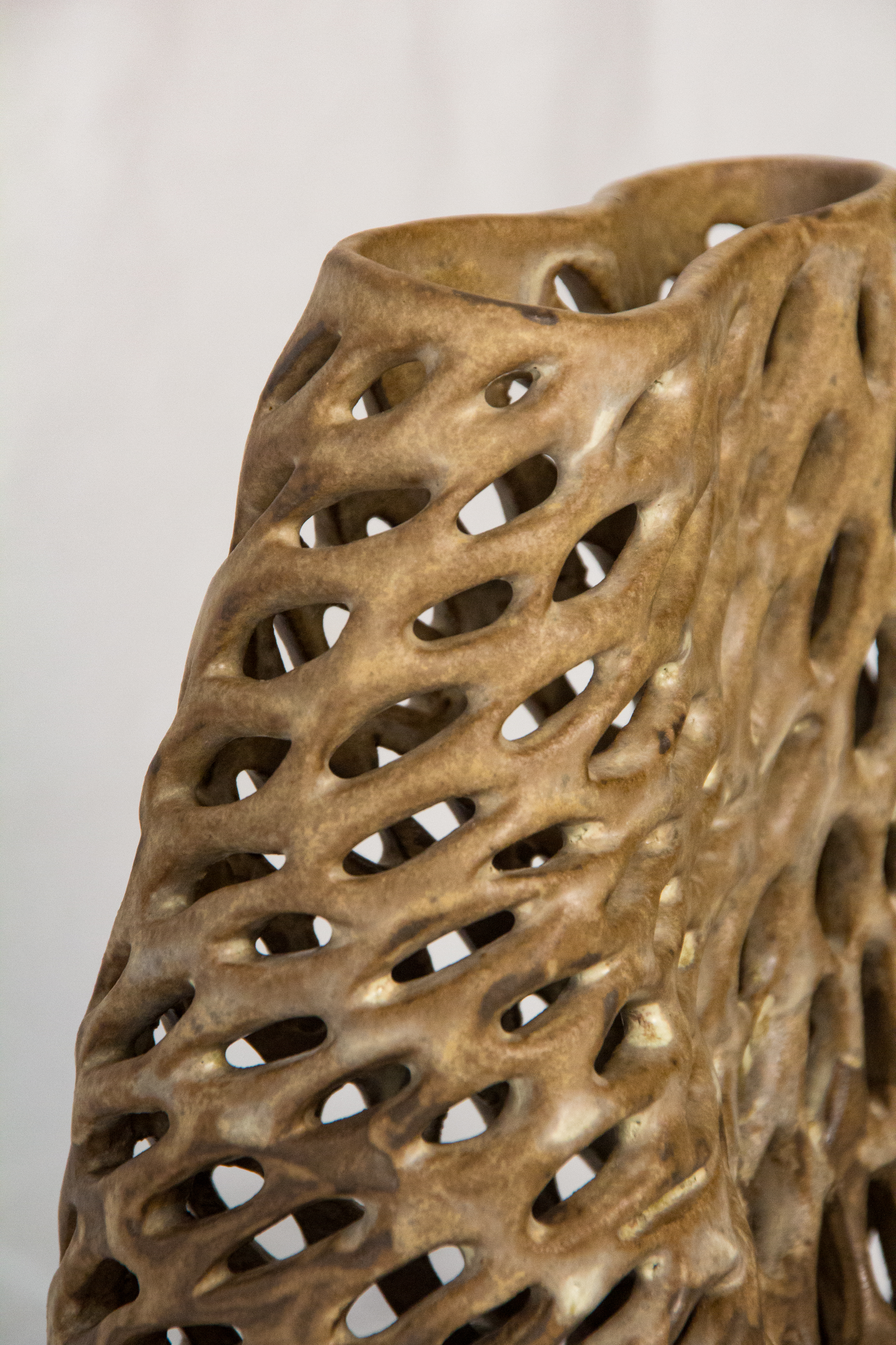 Hueso #1 - Colección Organic Vol.1