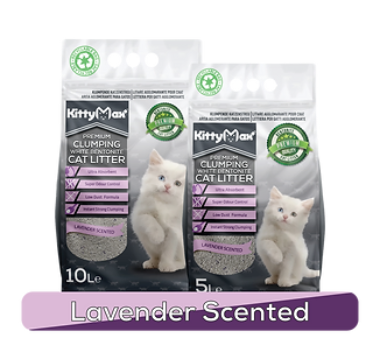 KittyMax Premium Clumping Cat Litter