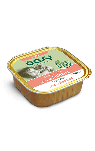 Oasy Easy Paté Rich in Salmon for Adult Cats