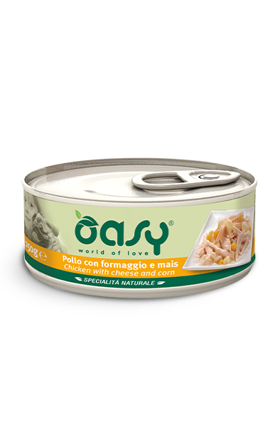 Oasy Chicken with Cheese and Corn