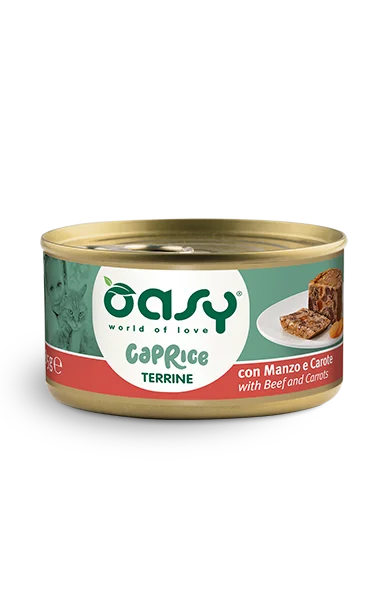 Oasy Caprice Terrine with Beef and Carrots
