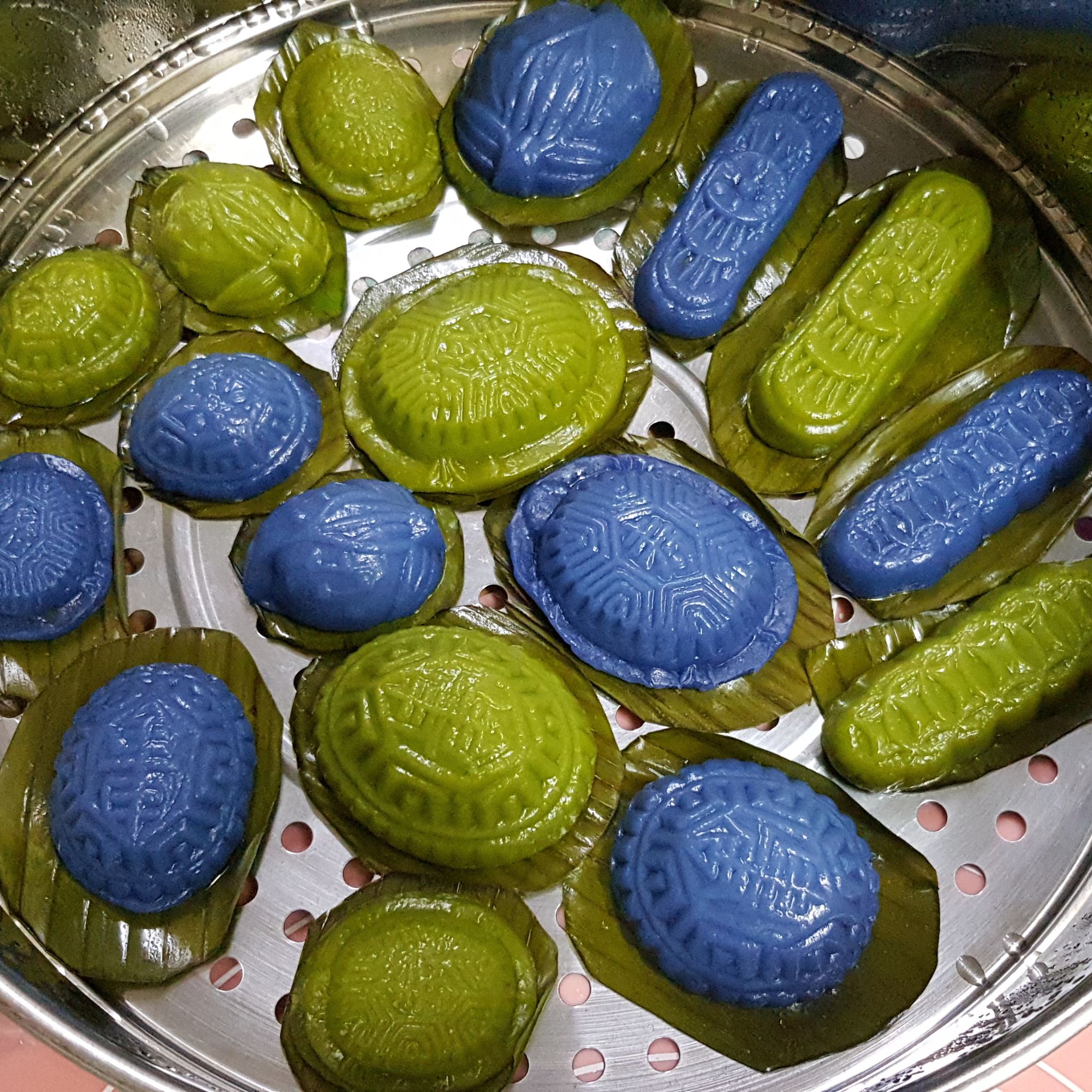 Big tortoise plastic Angku mould