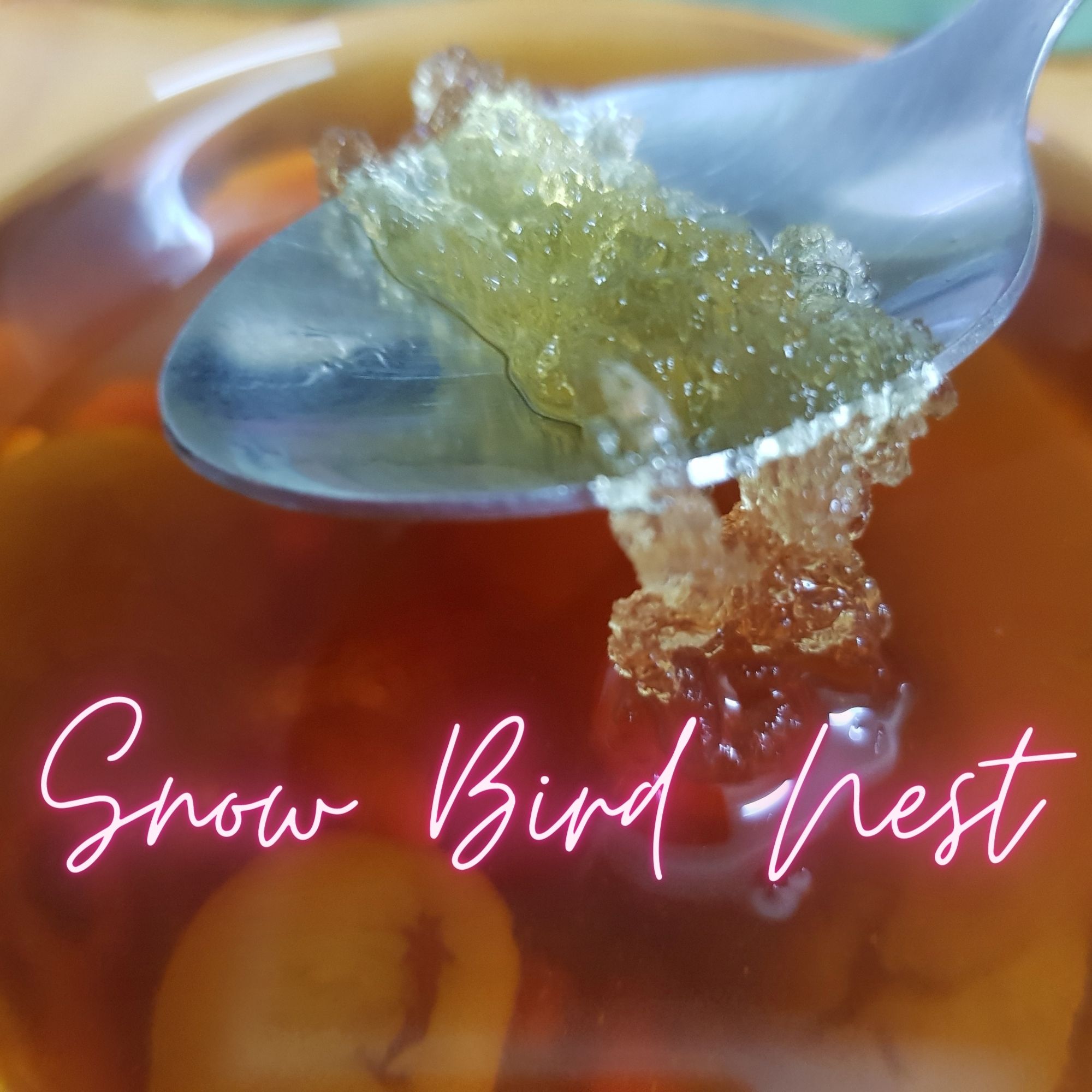 Clearance Expired Snow Bird Nest Premium Grade