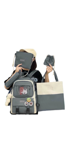 School Backpack Set