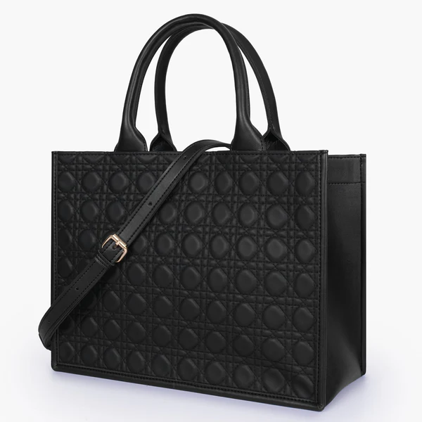 Christian Dior Book Tote Bag