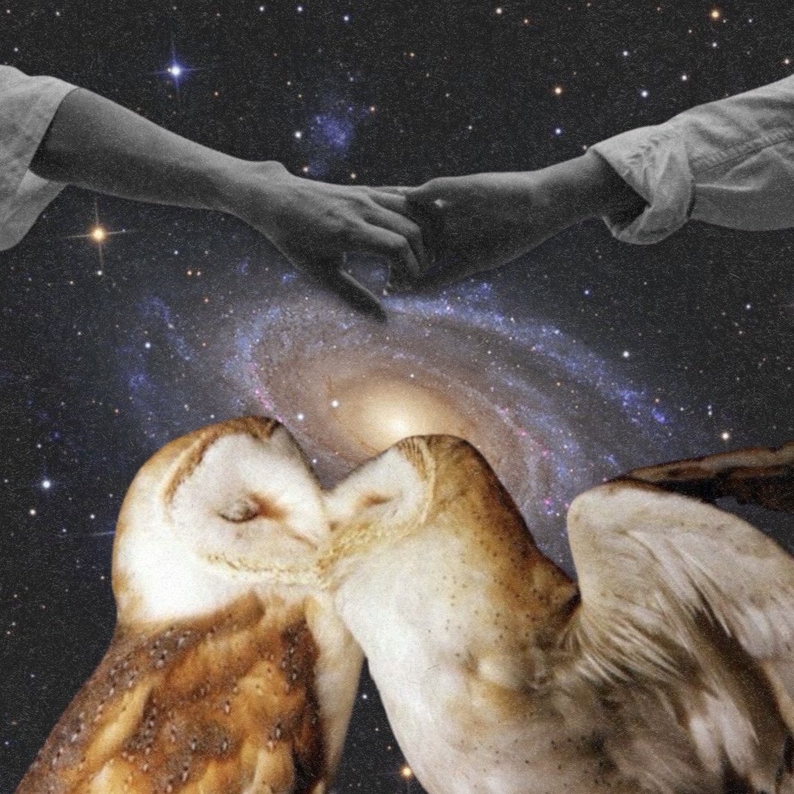 Heart Exploration Reading