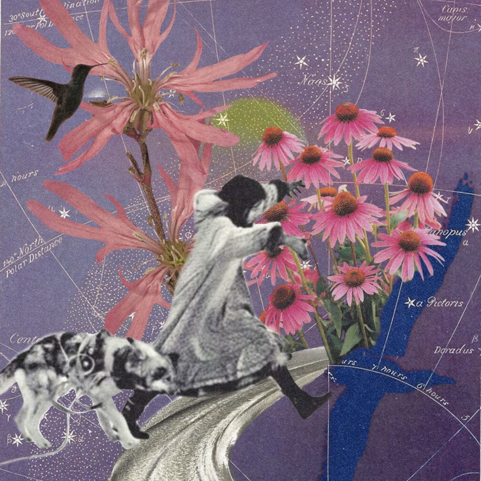 Soul Path Navigation