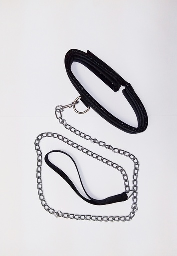 Correa y collar para perro