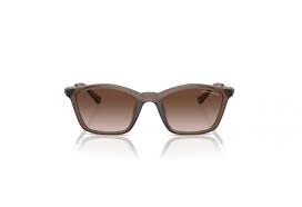 Gafas de sol marrones
