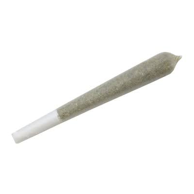 1 Gram Prerolls