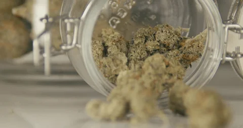 3.5g Premium Flower