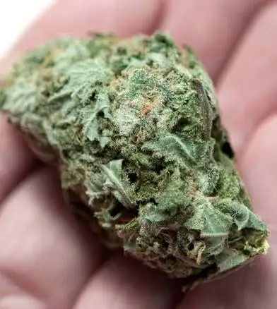 1g Premium Flower
