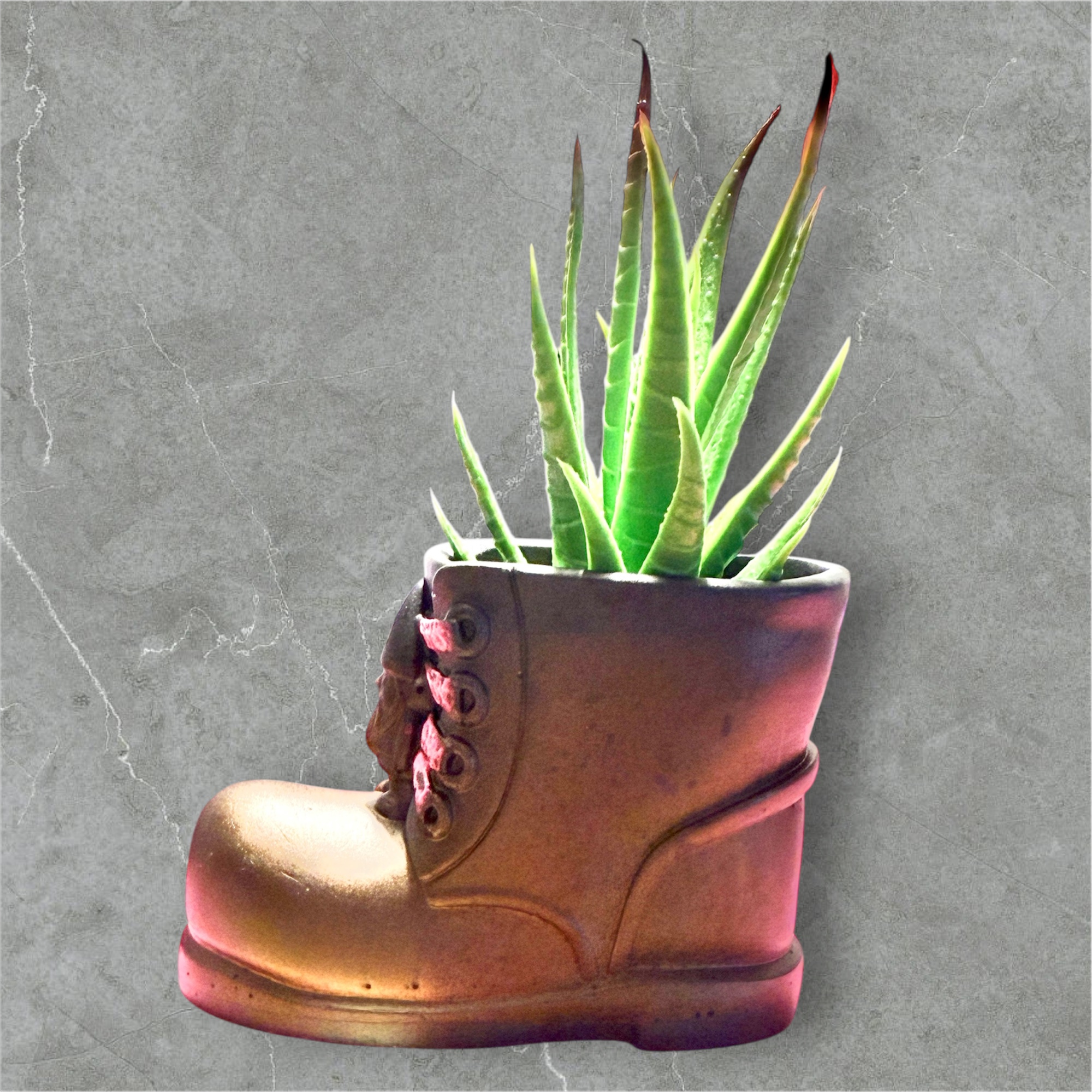 Boot-shaped planter