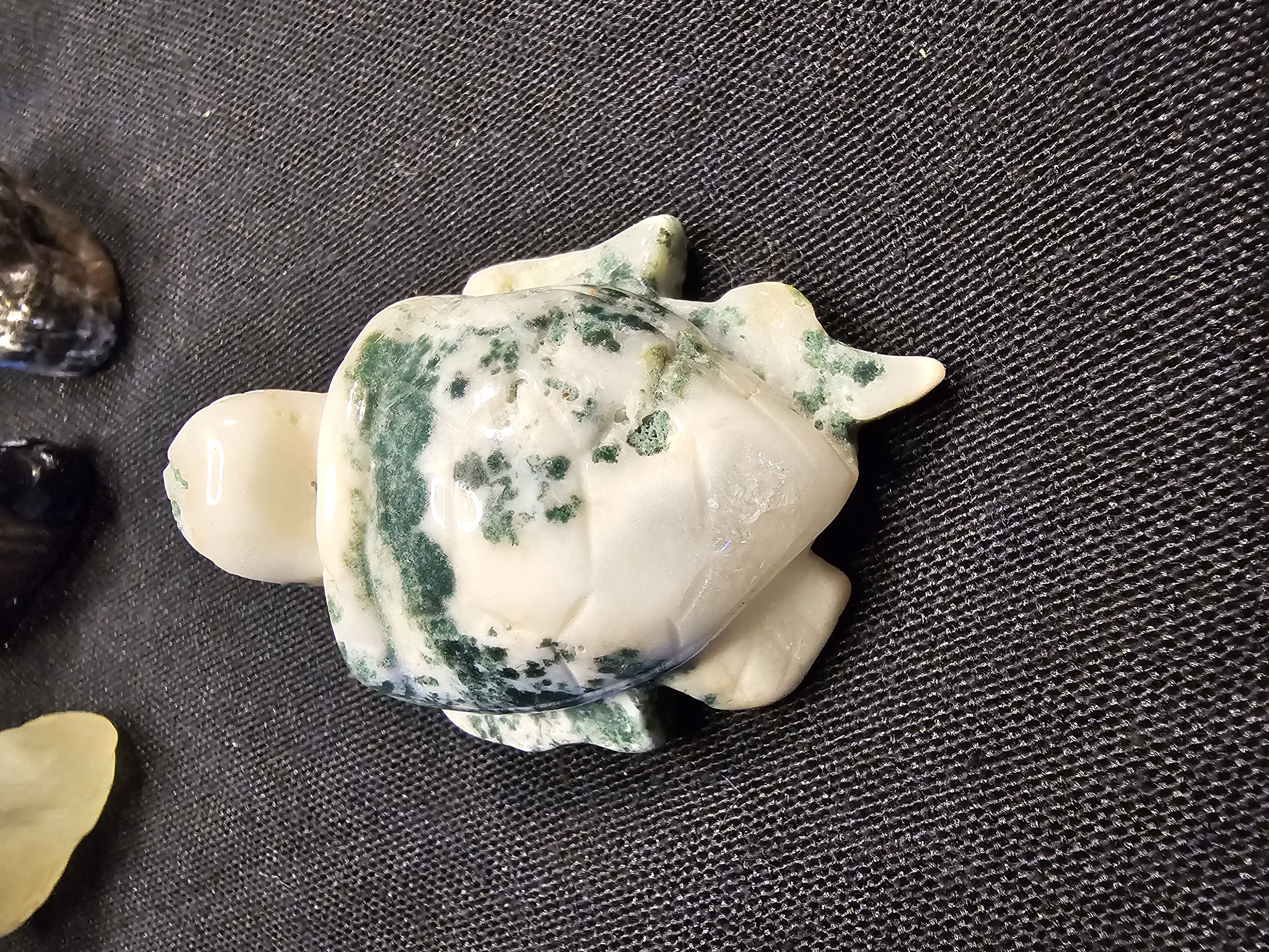 Adorable, detailed green moss agate sea turtle
