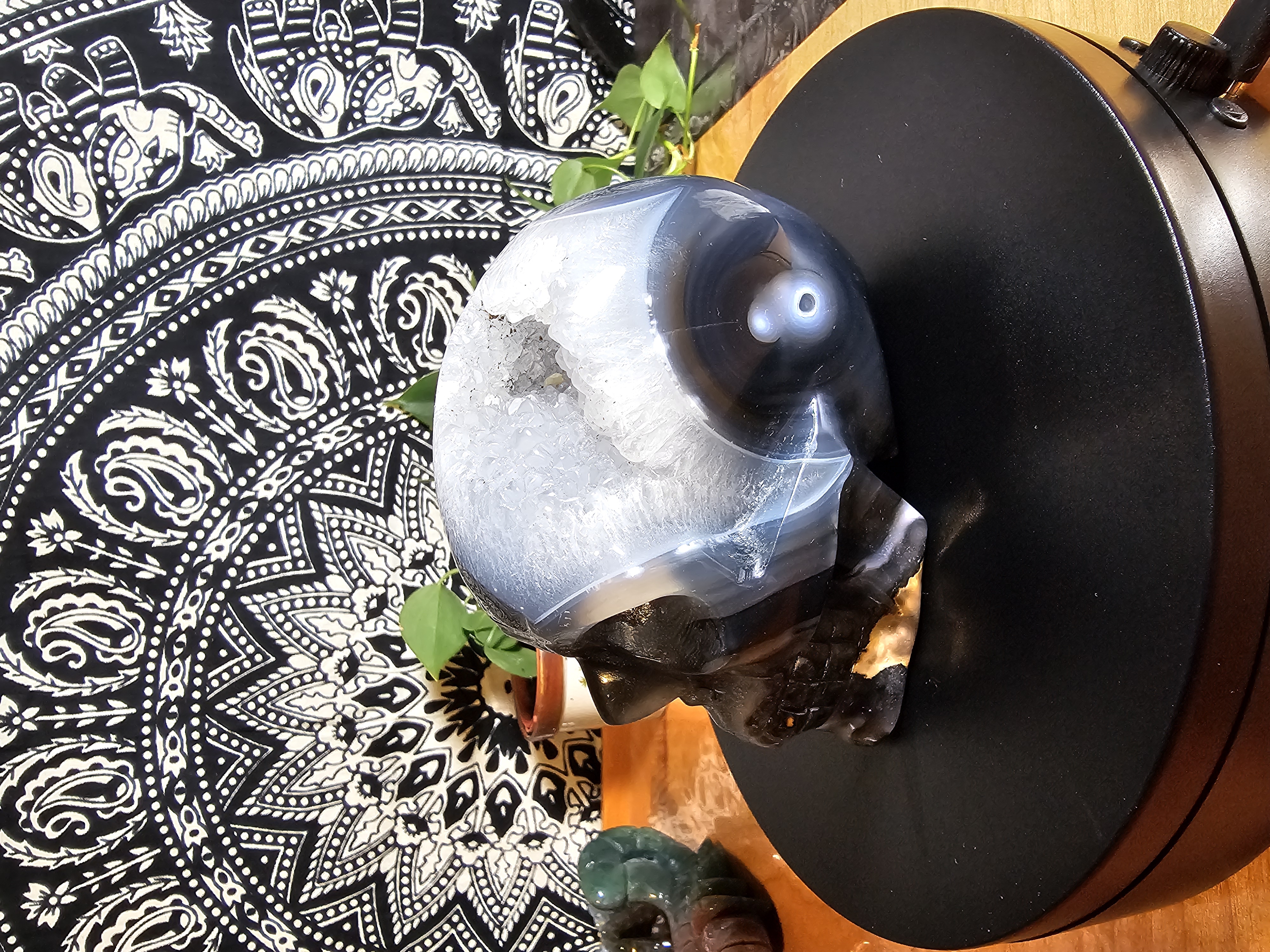 Absolutely Incredible UV Reactive Volcano Agate Skull With Quartz Drusy Pocket