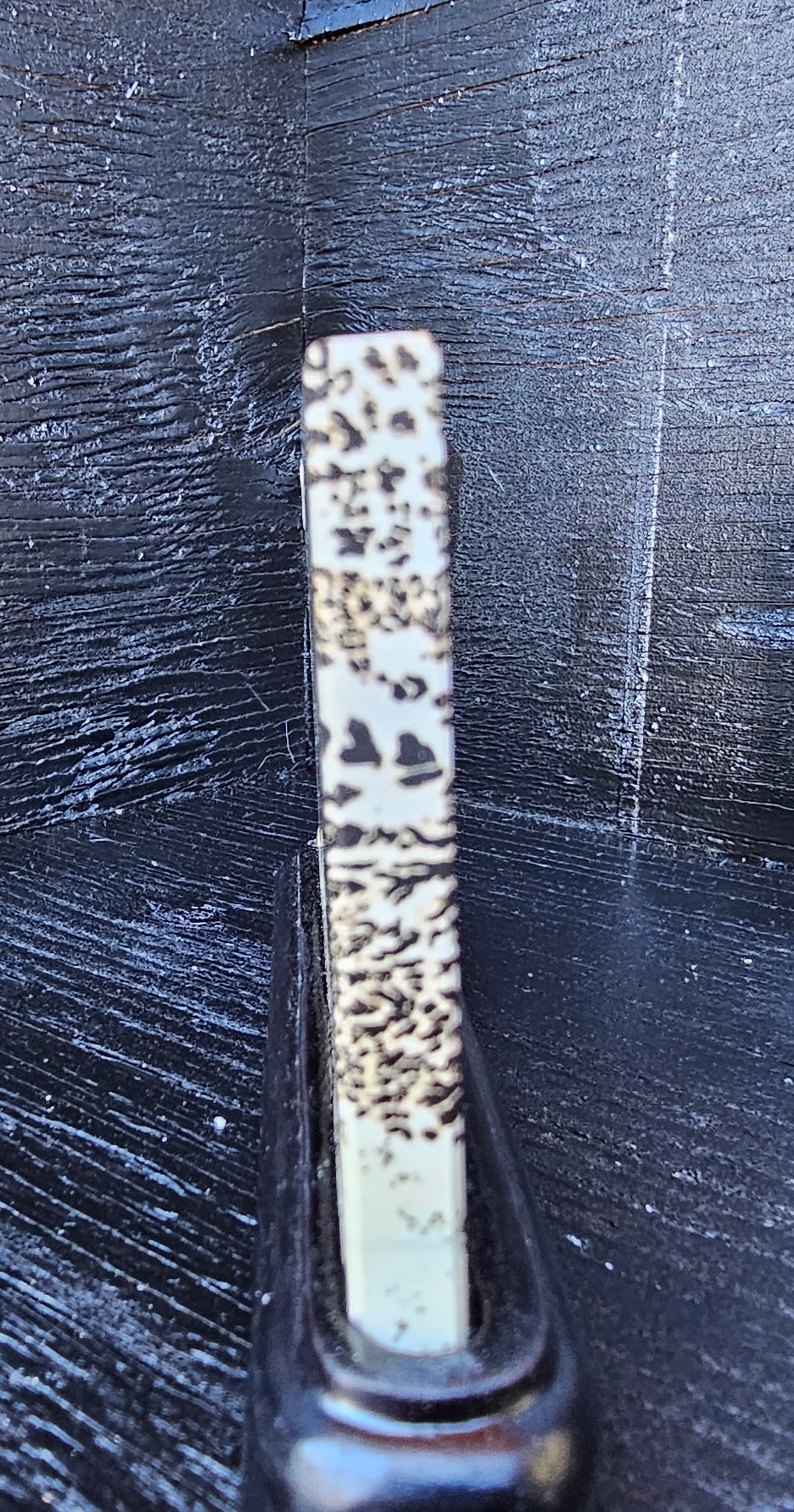 Polished Dendritic Stone Slab attached to solid wood base