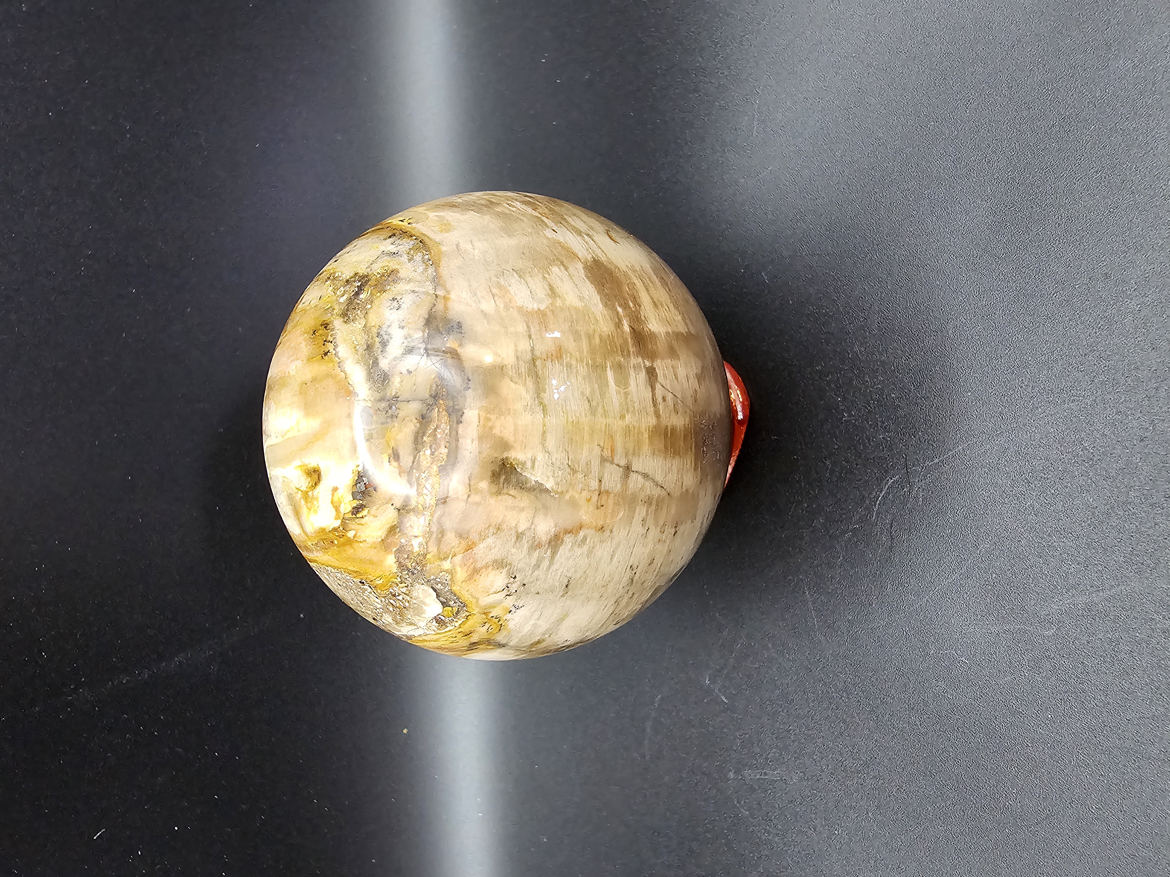 Fantastic Petrified Wood Sphere!
