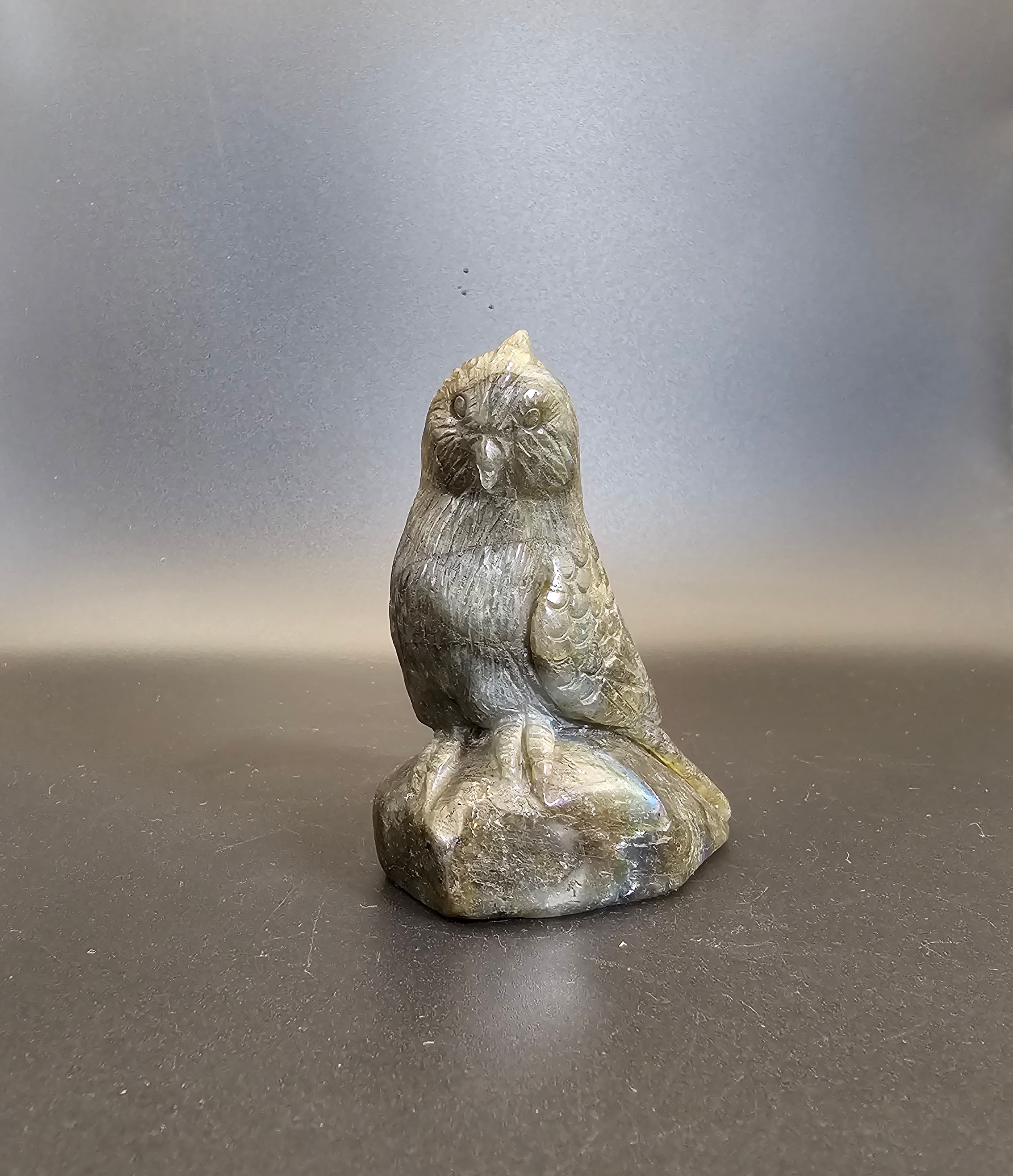 Hand Carved Labradorite Parakeet