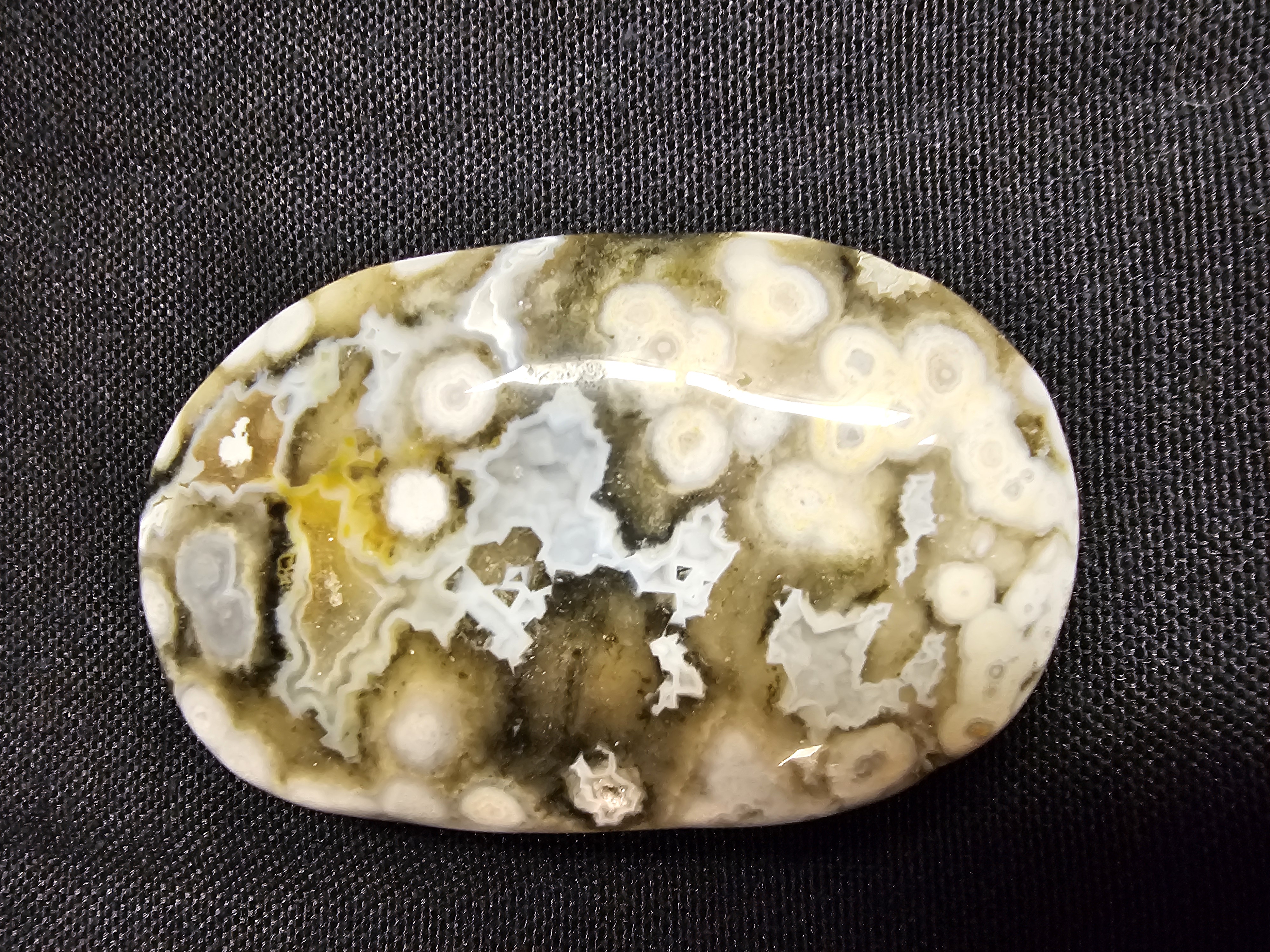 Fantastic 8th Vein bubble ocean jasper palm