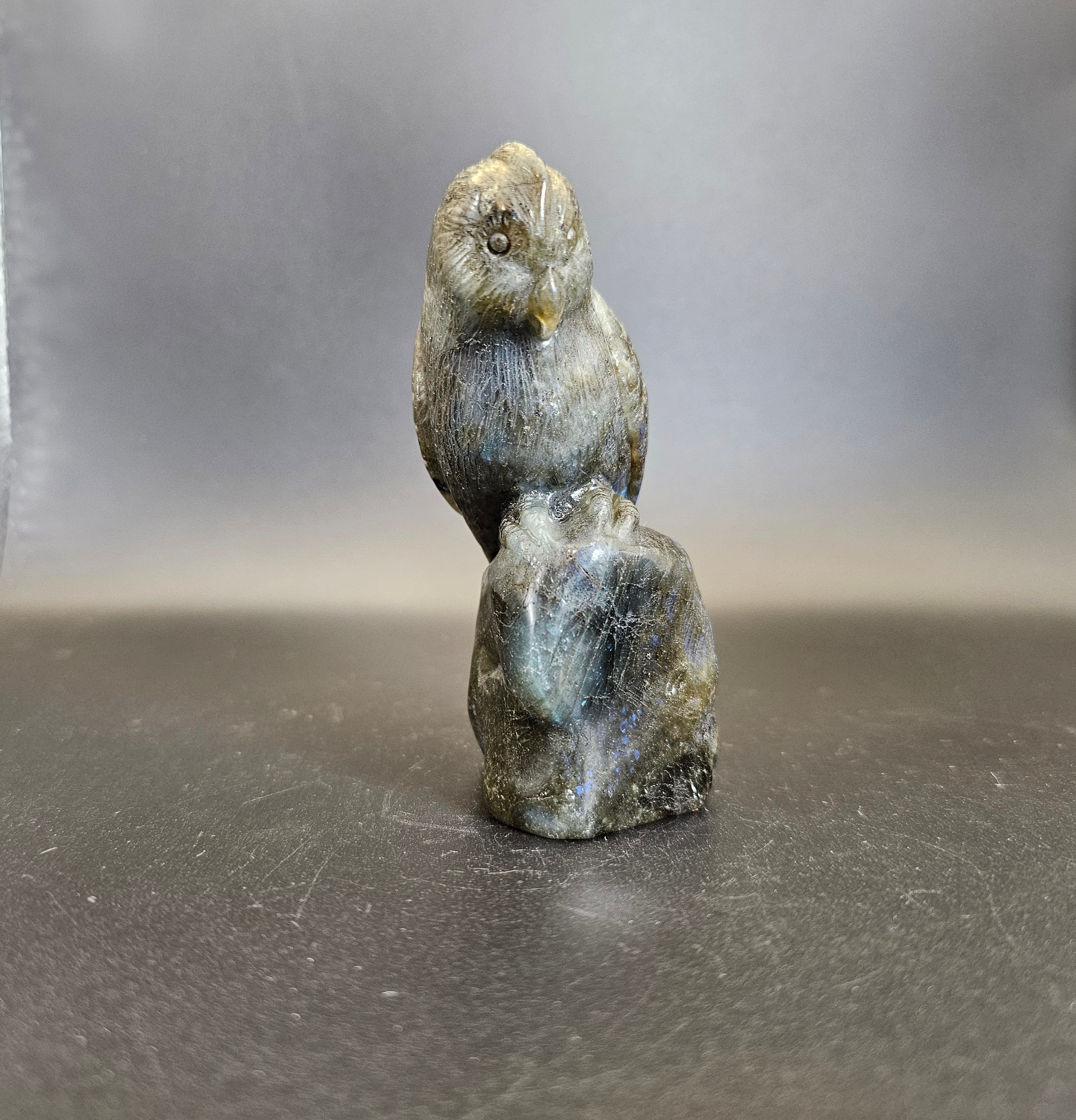 Hand Carved Labradorite Parakeet