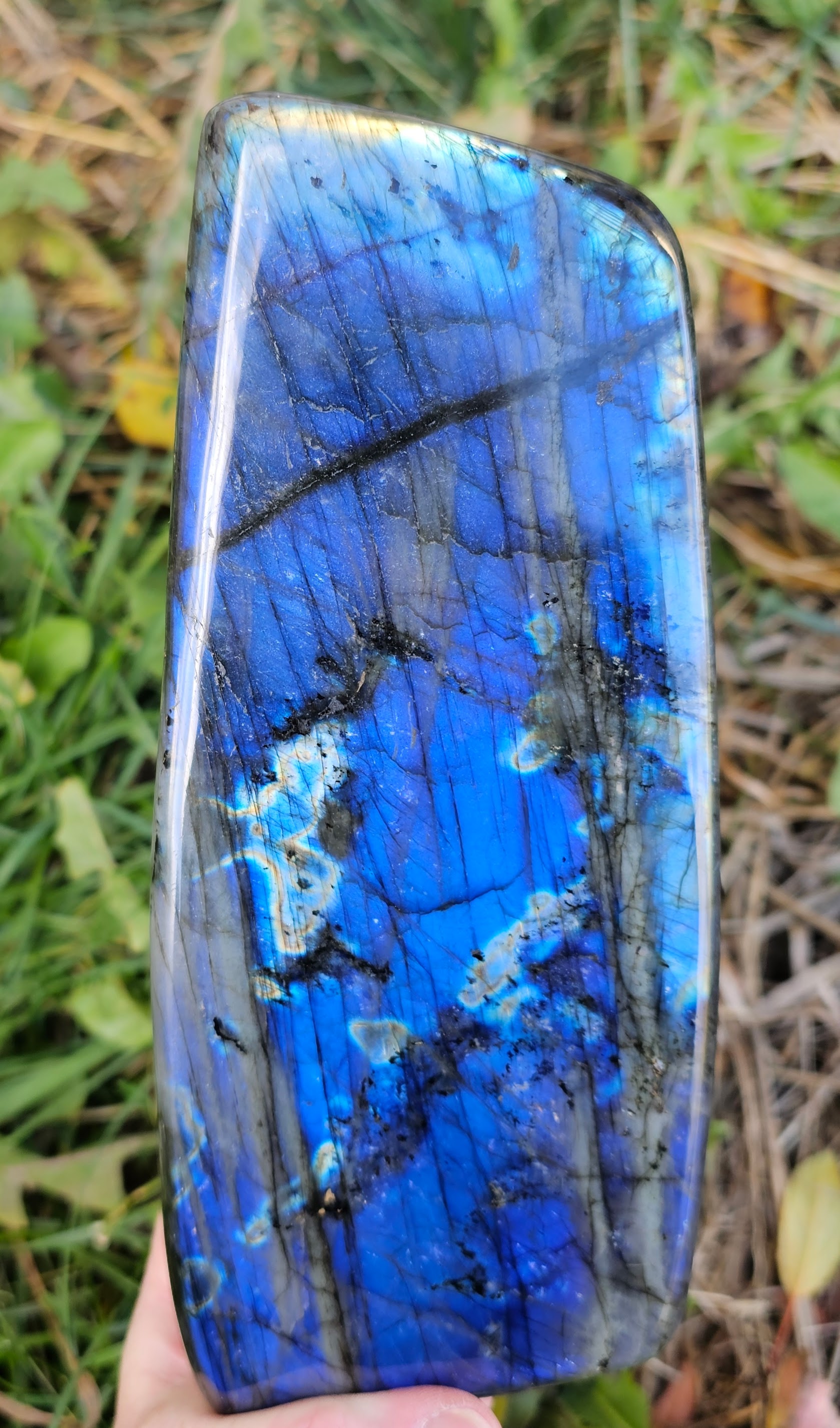 INCREDIBLE Labradorite free form