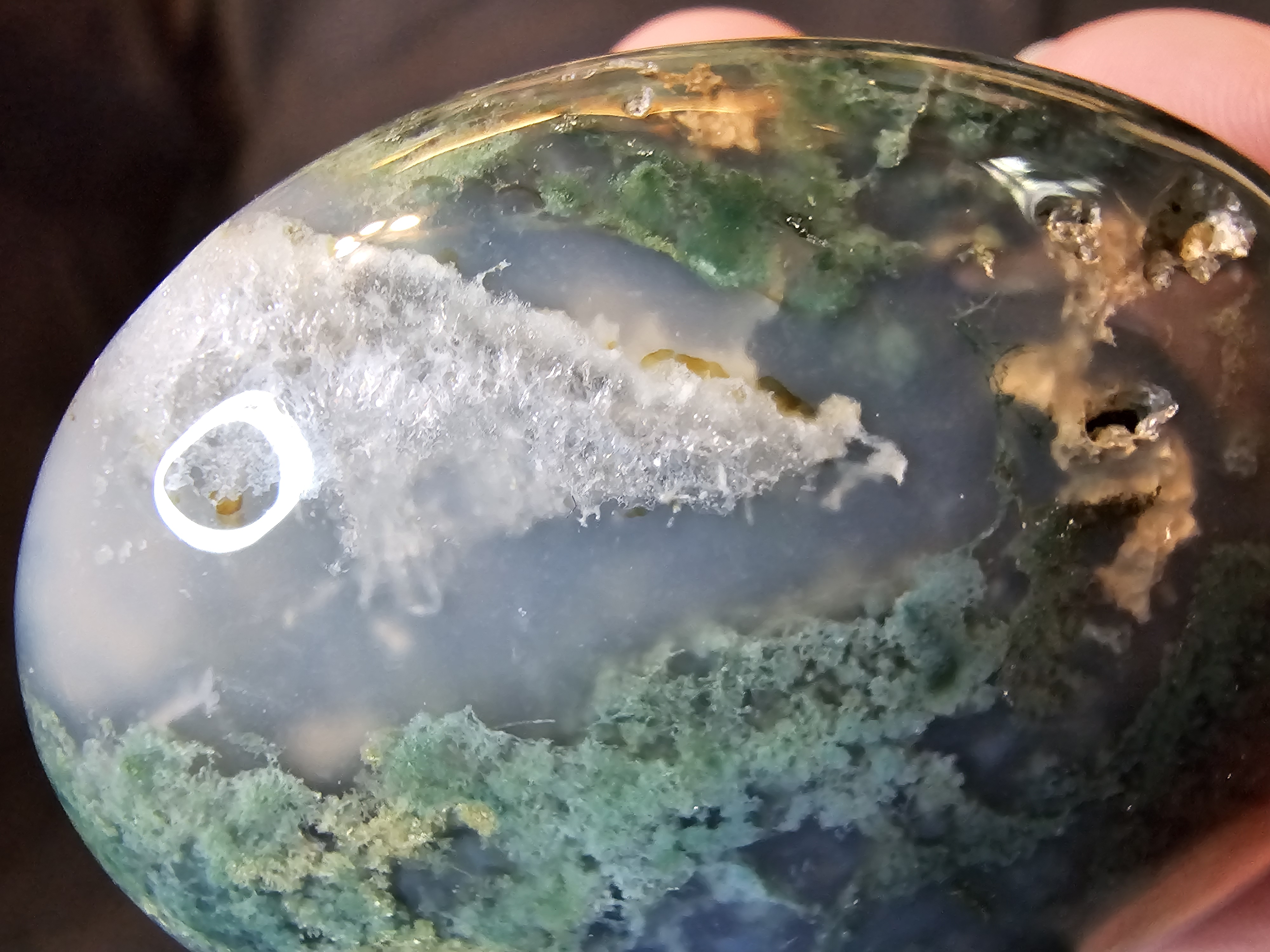 Incredible details and color in this classic Moss agate palm