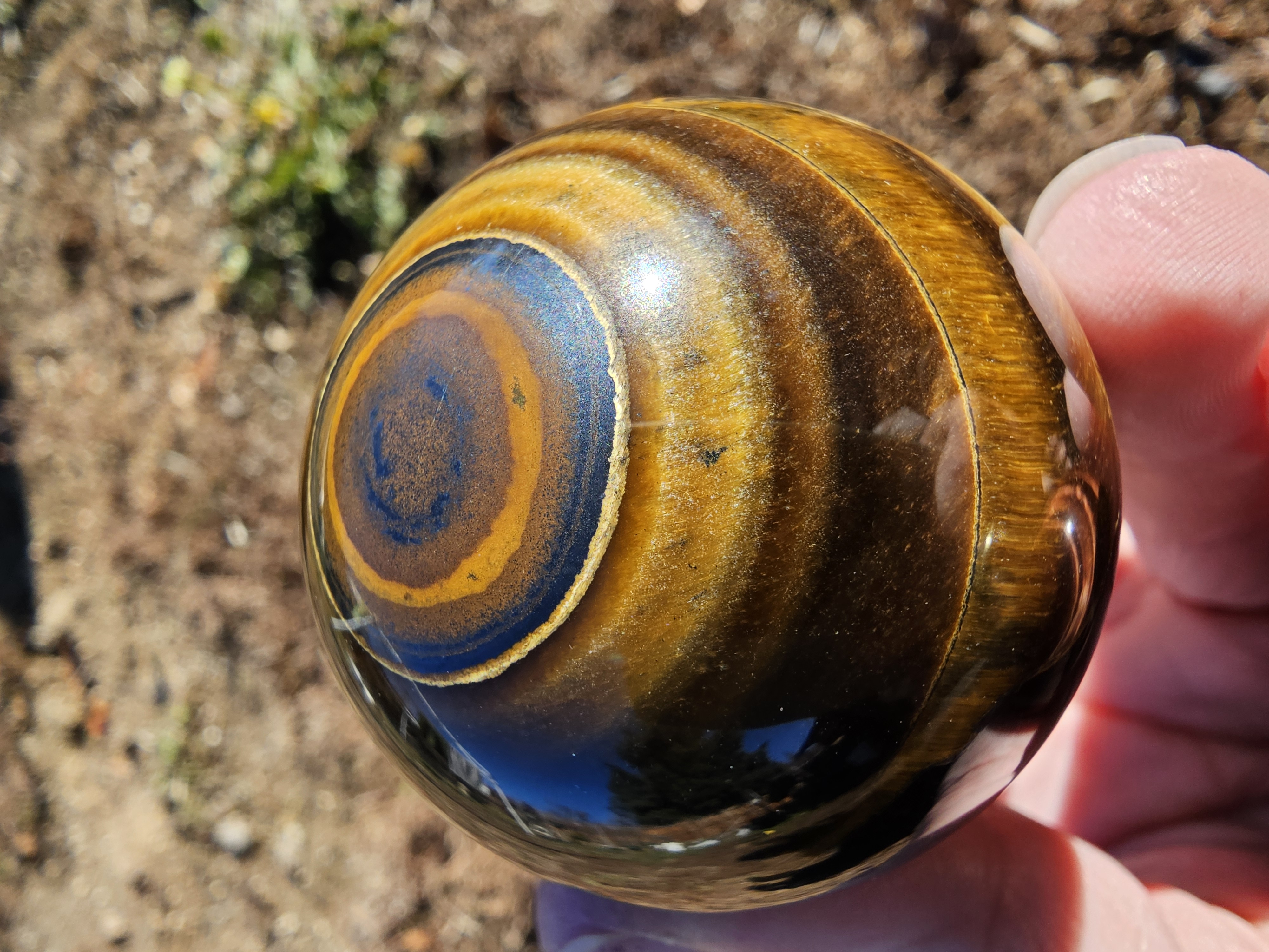 Golden Tiger Eye With Hints of Blue Tiger Eye