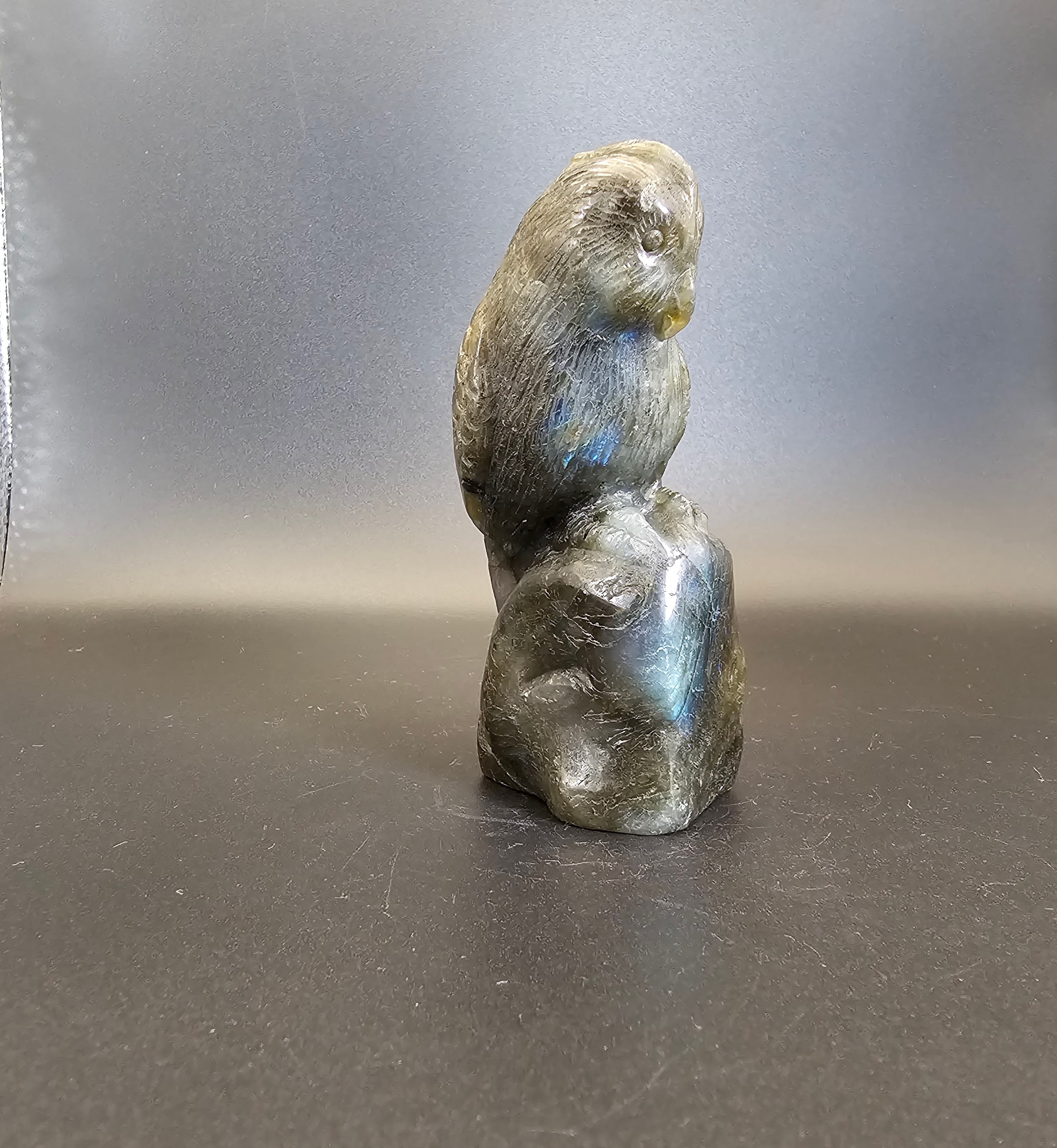 Hand Carved Labradorite Parakeet