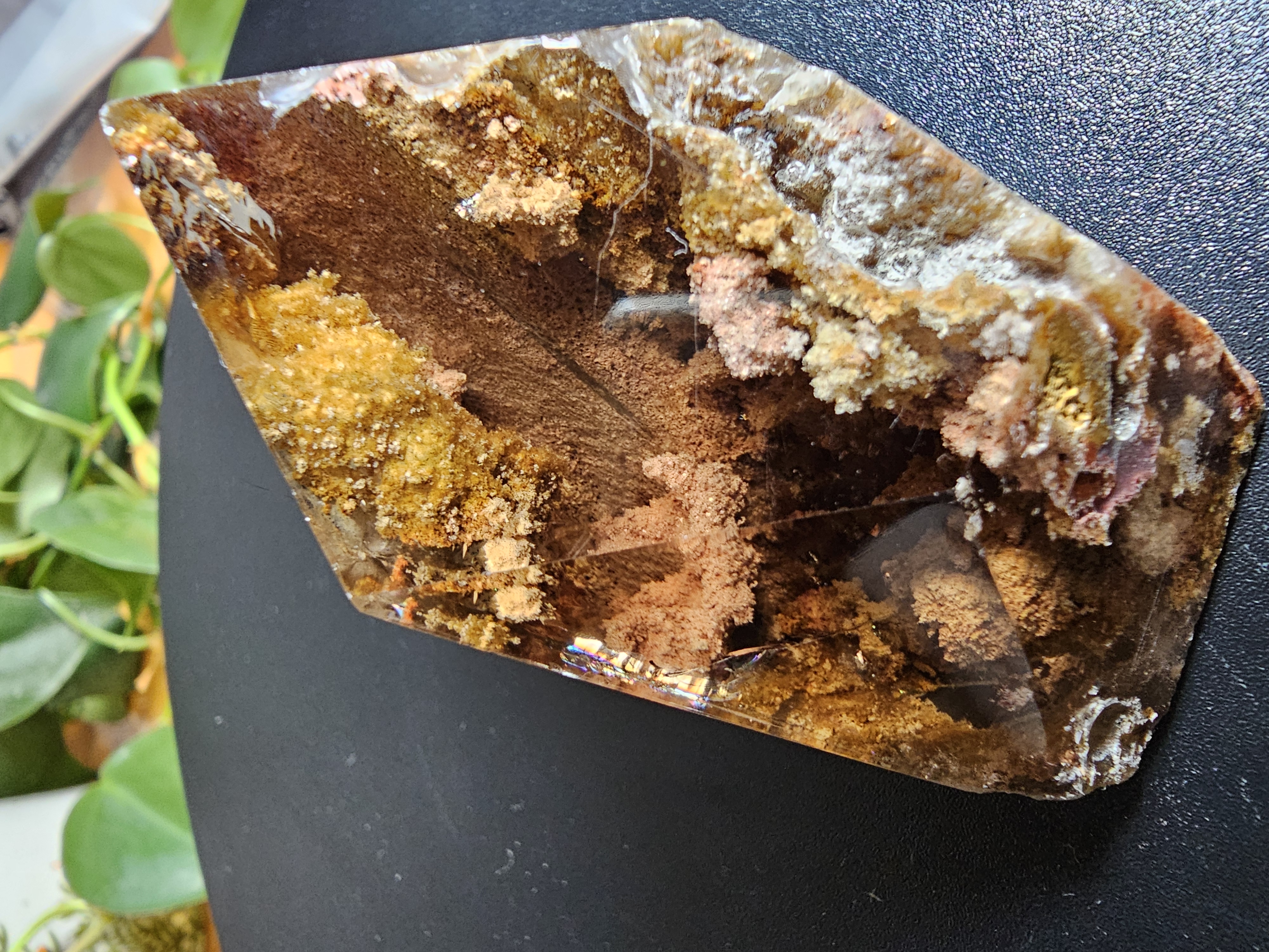 "Rusty Fall Afternoon Garden" Quartz
