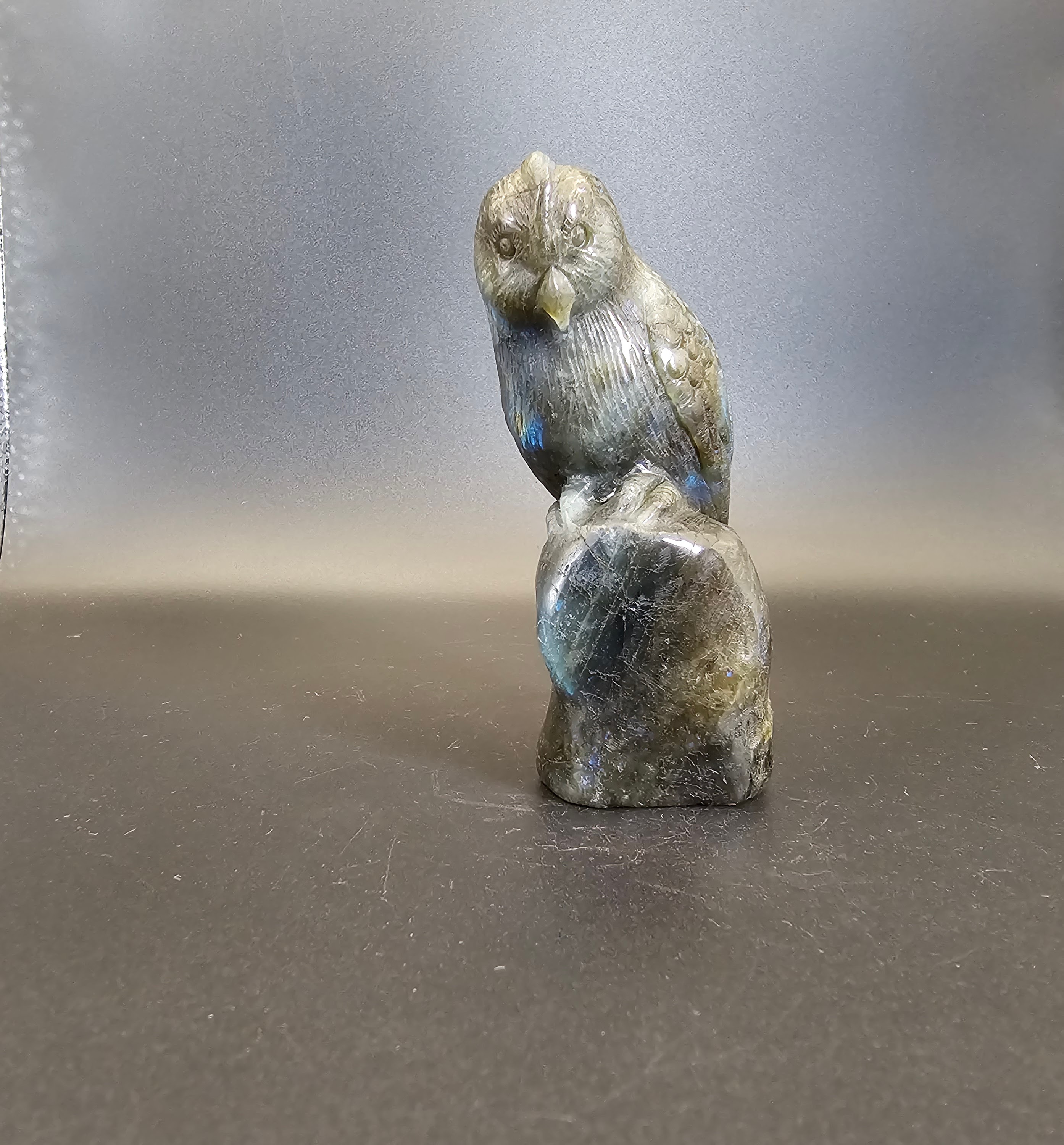 Hand Carved Labradorite Parakeet