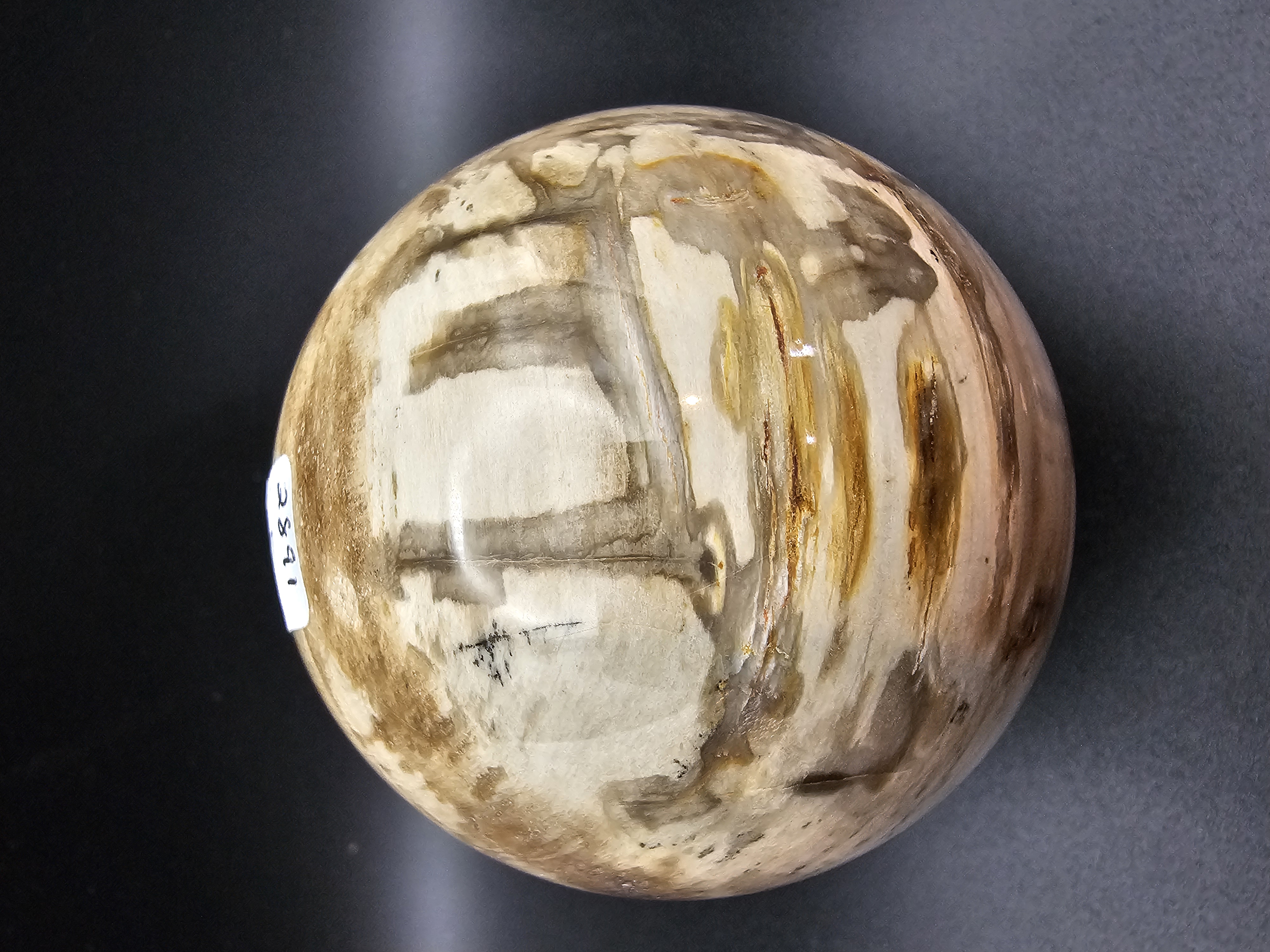 Fantastic Petrified Wood Sphere!
