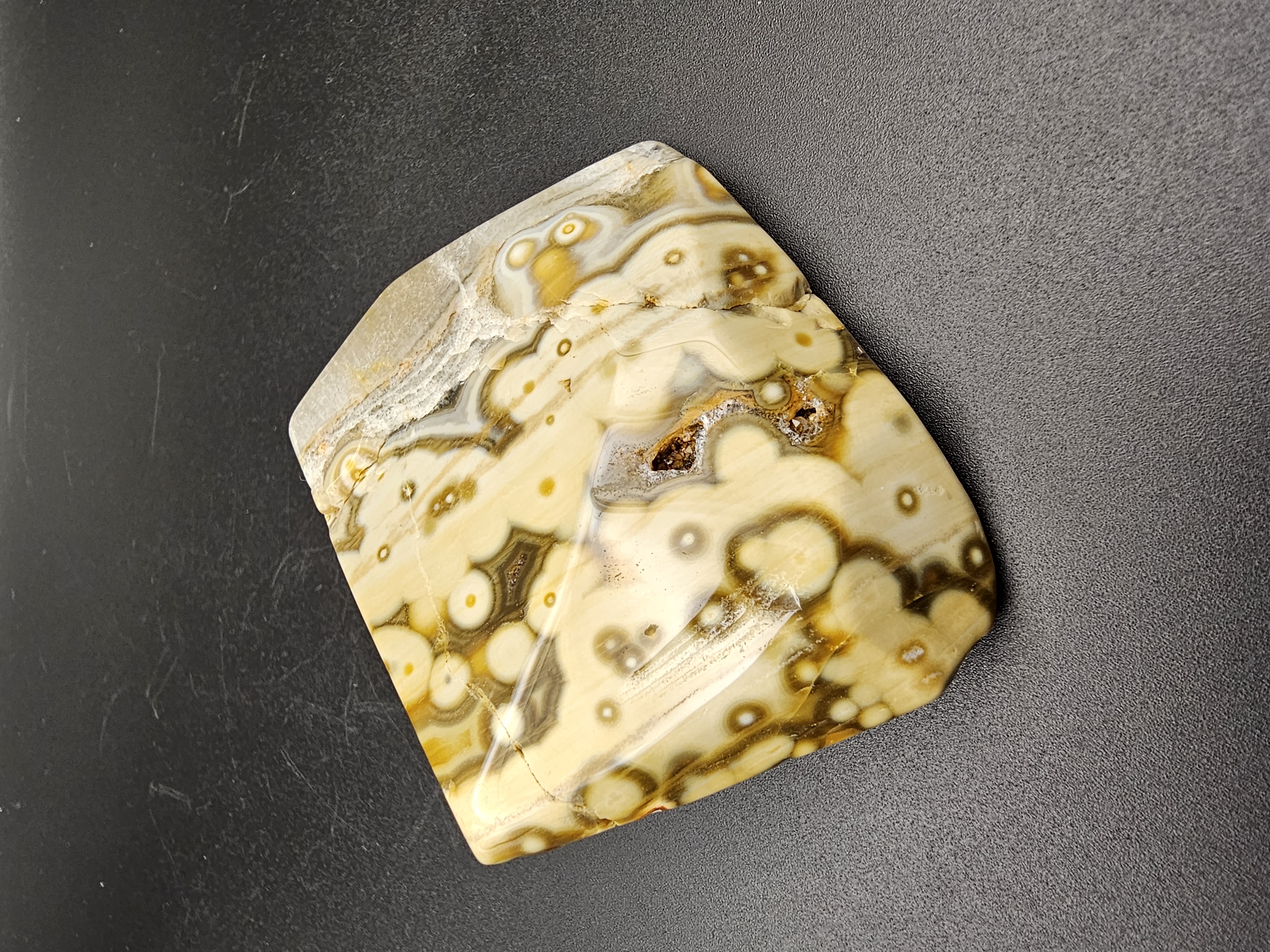 8th Vein Ocean Jasper Free form