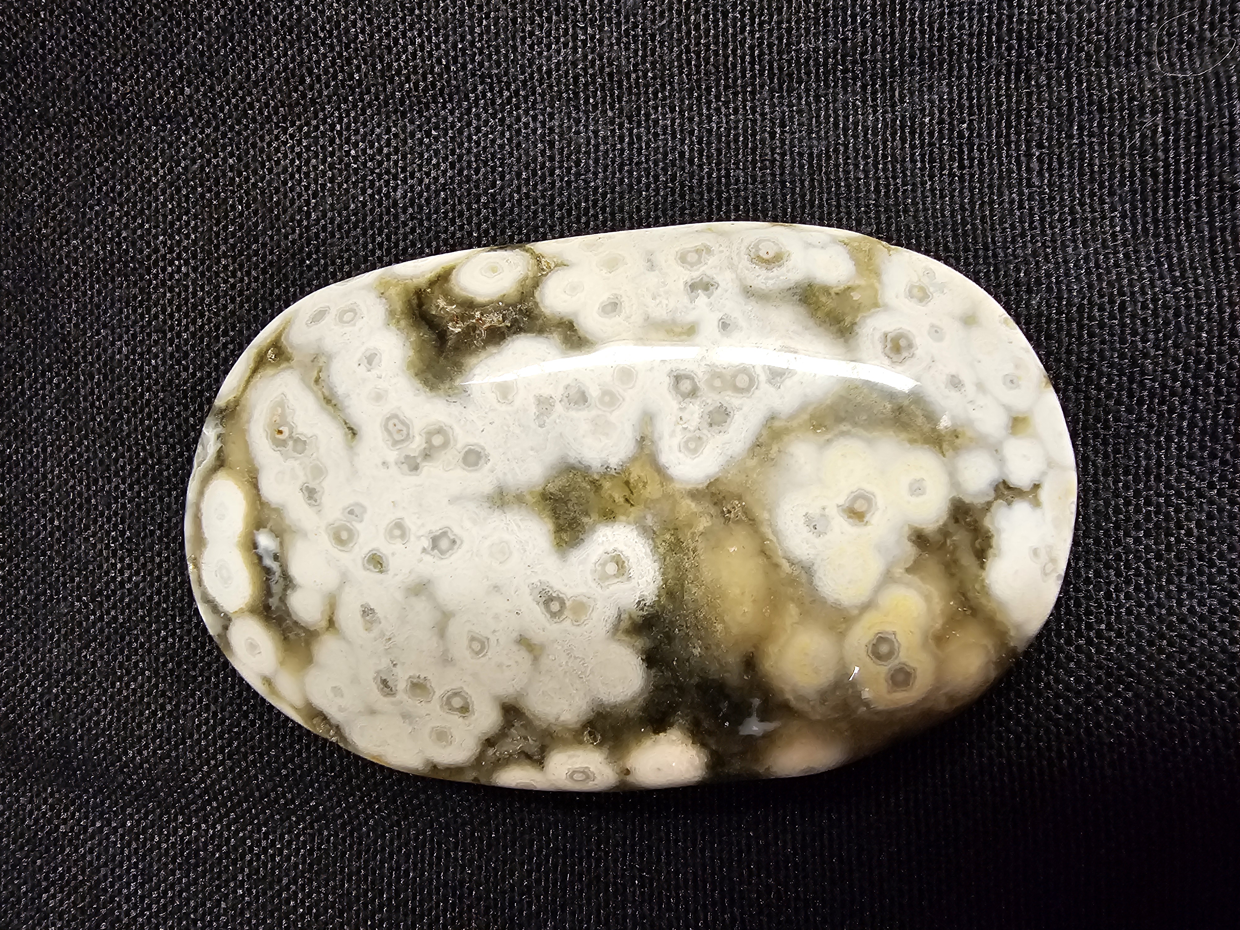 Fantastic 8th Vein bubble ocean jasper palm