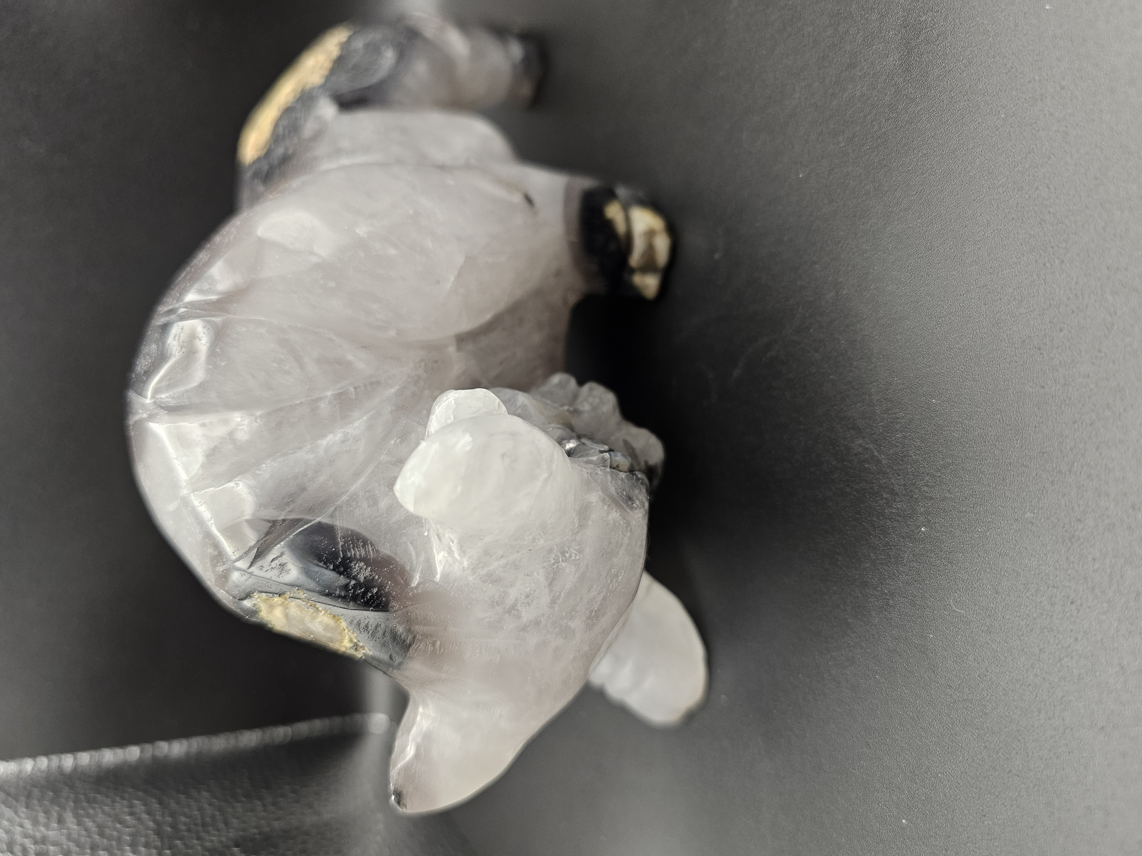 Take the Volcano Agate Bull by the horns!