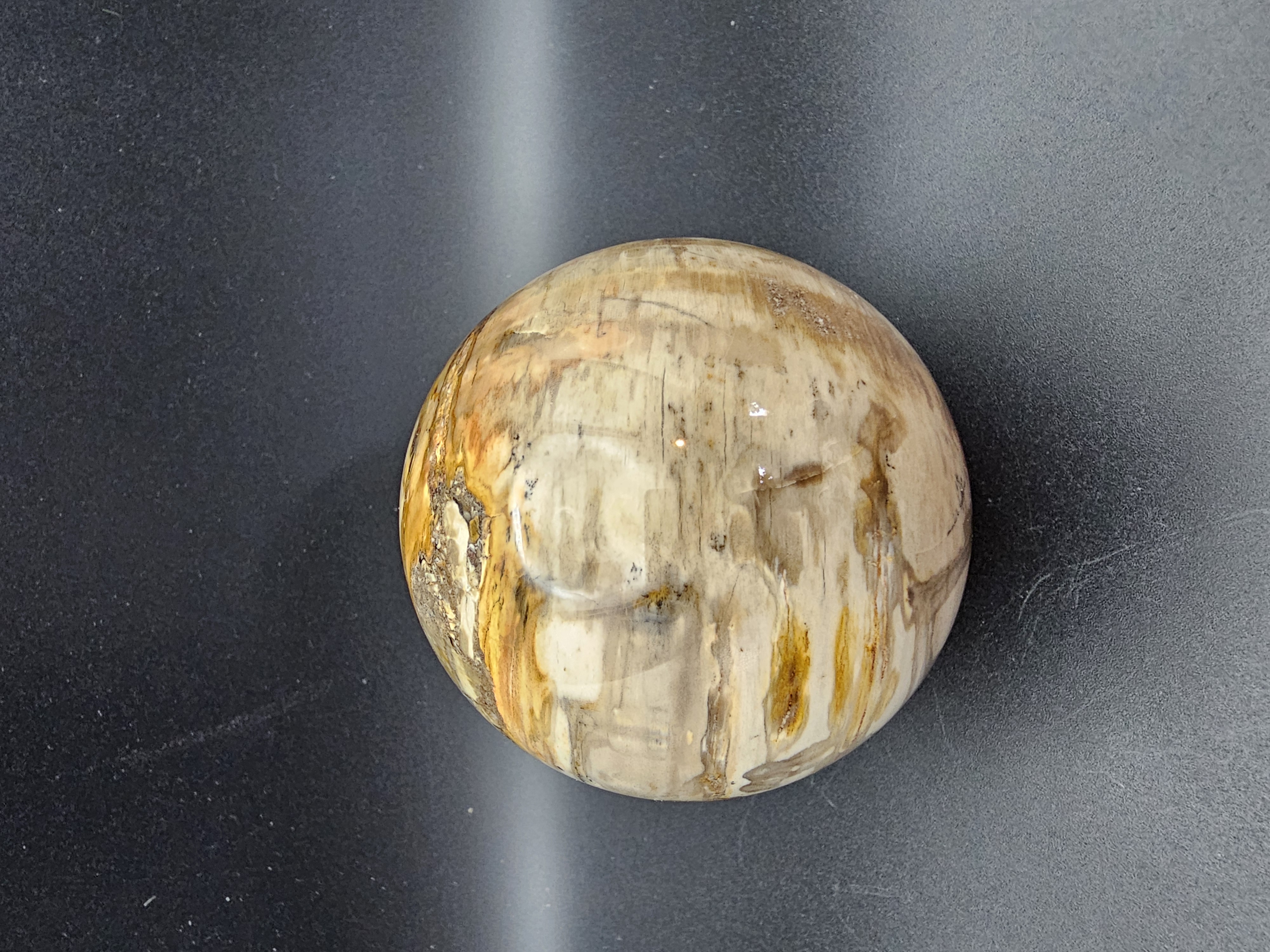 Fantastic Petrified Wood Sphere!