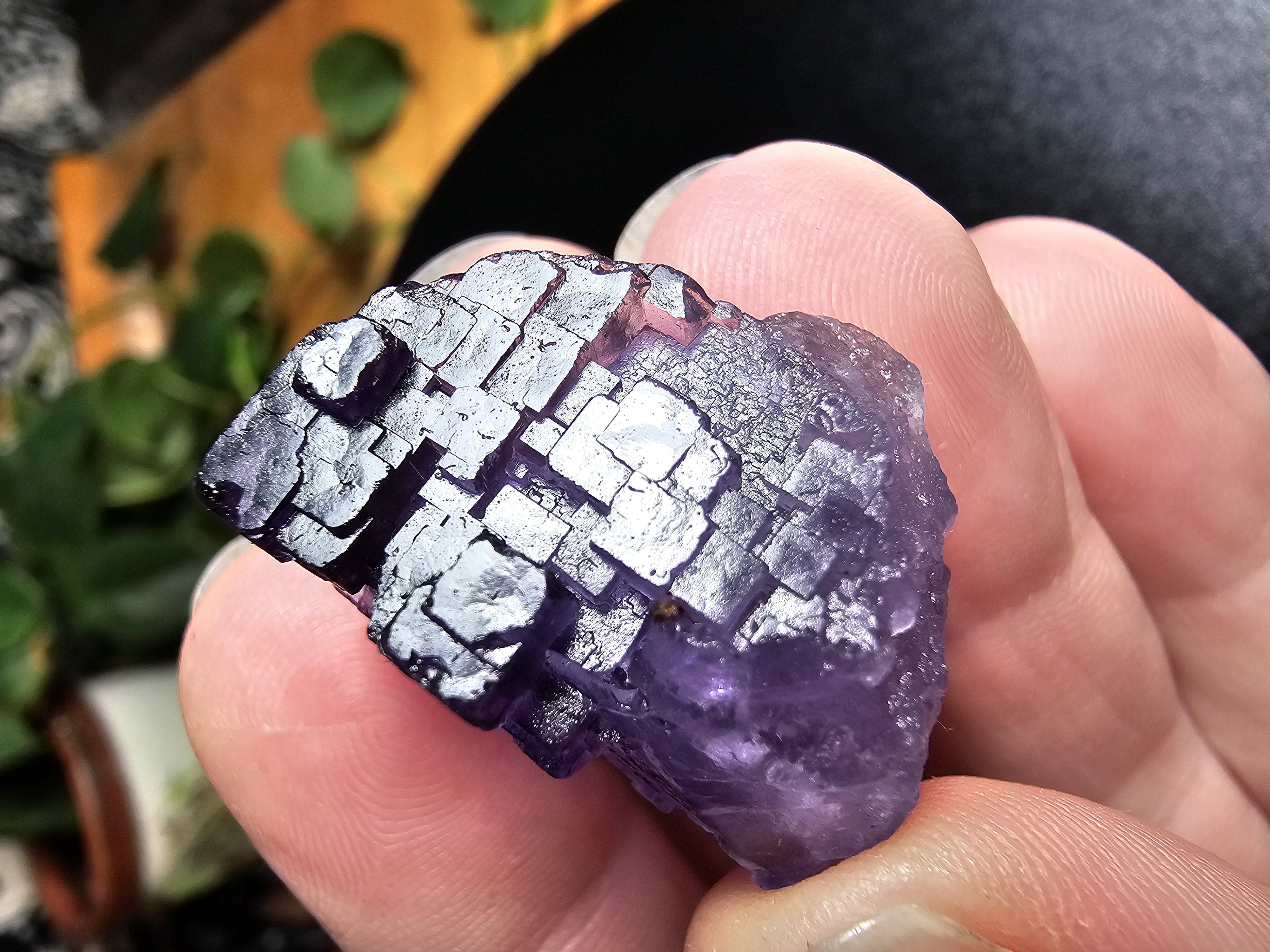COOL CUBES!  Purple Fluorite Cubic Formation