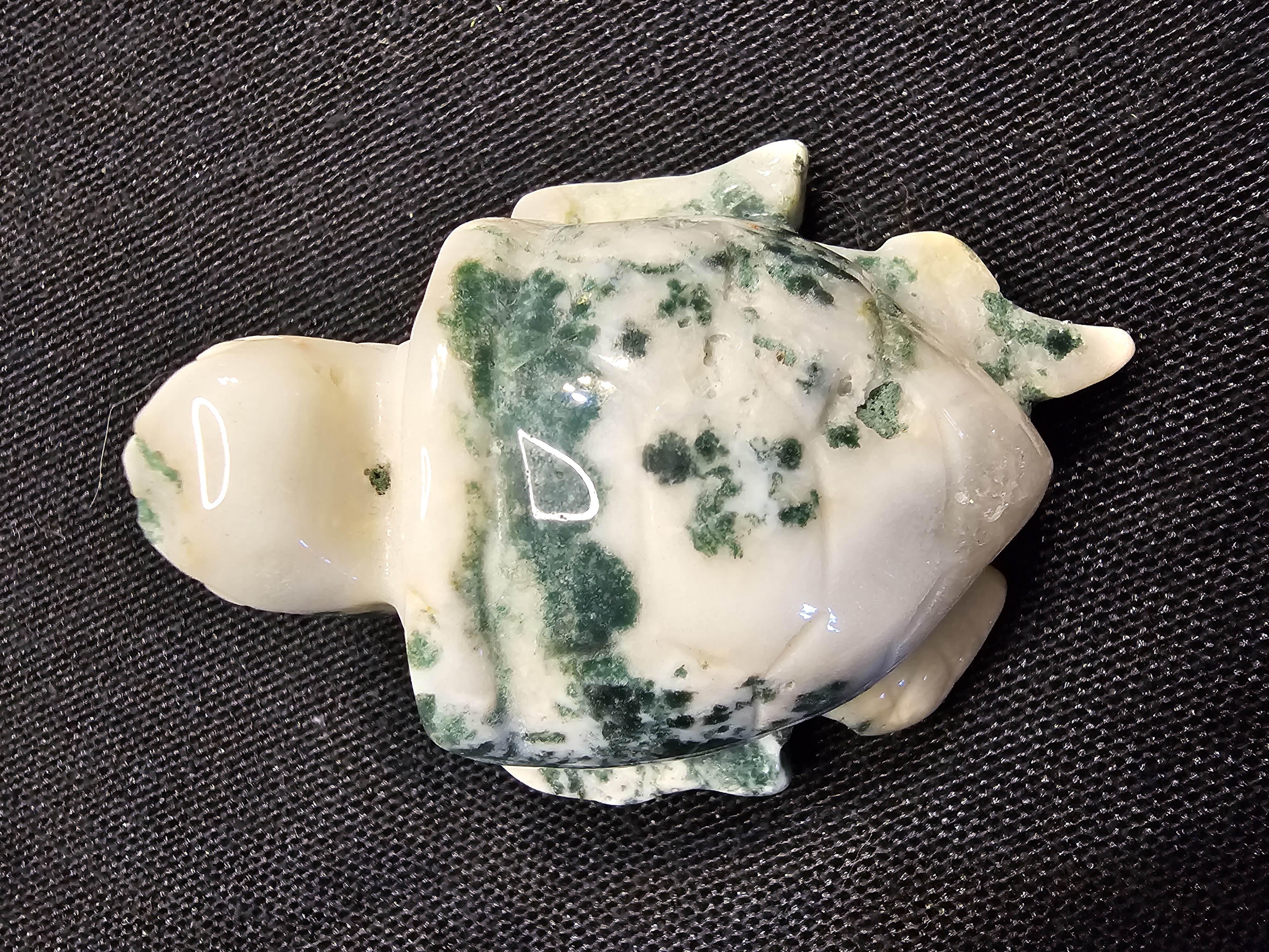 Adorable, detailed green moss agate sea turtle