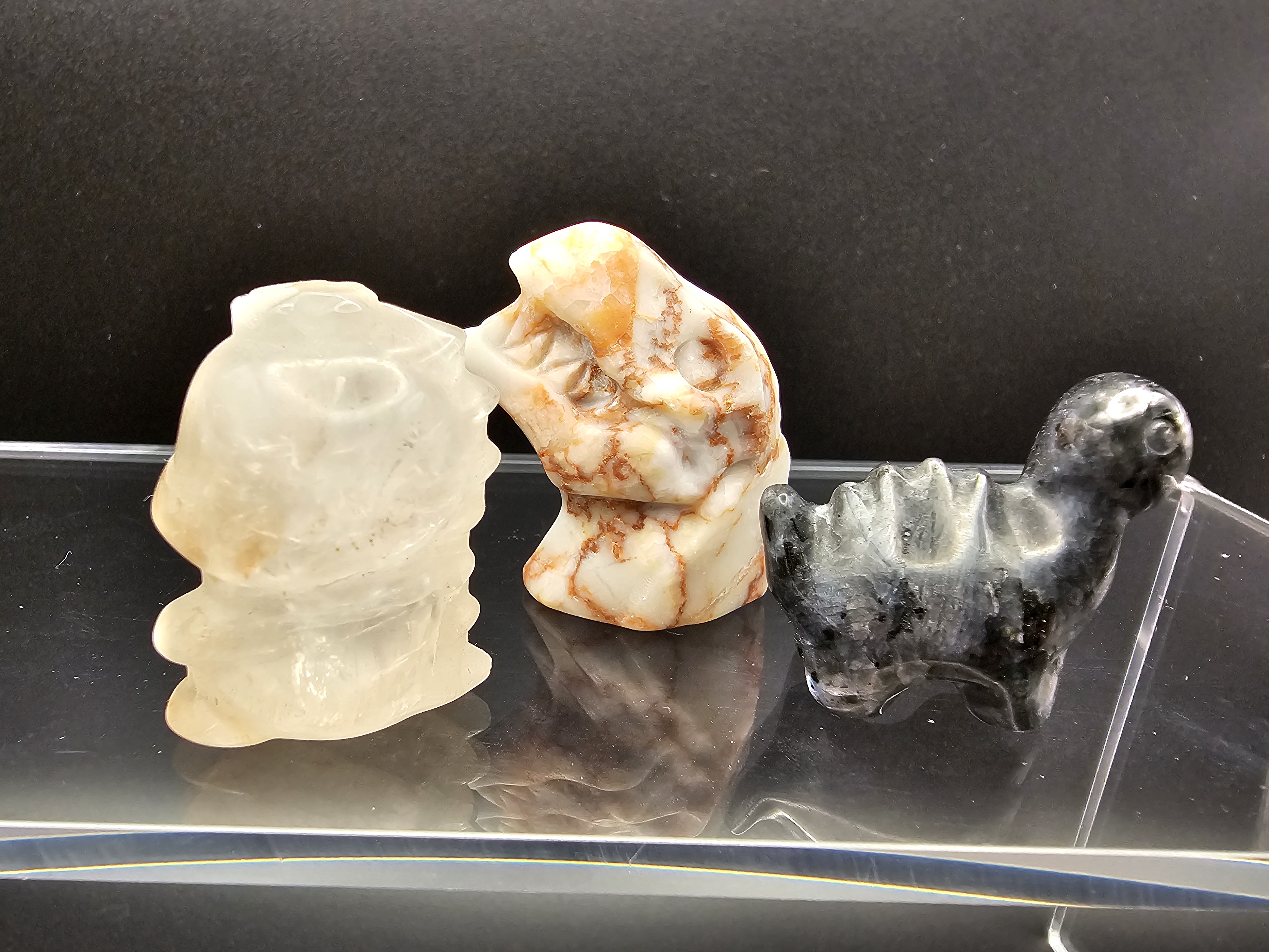 Tiny Dino Collection! 